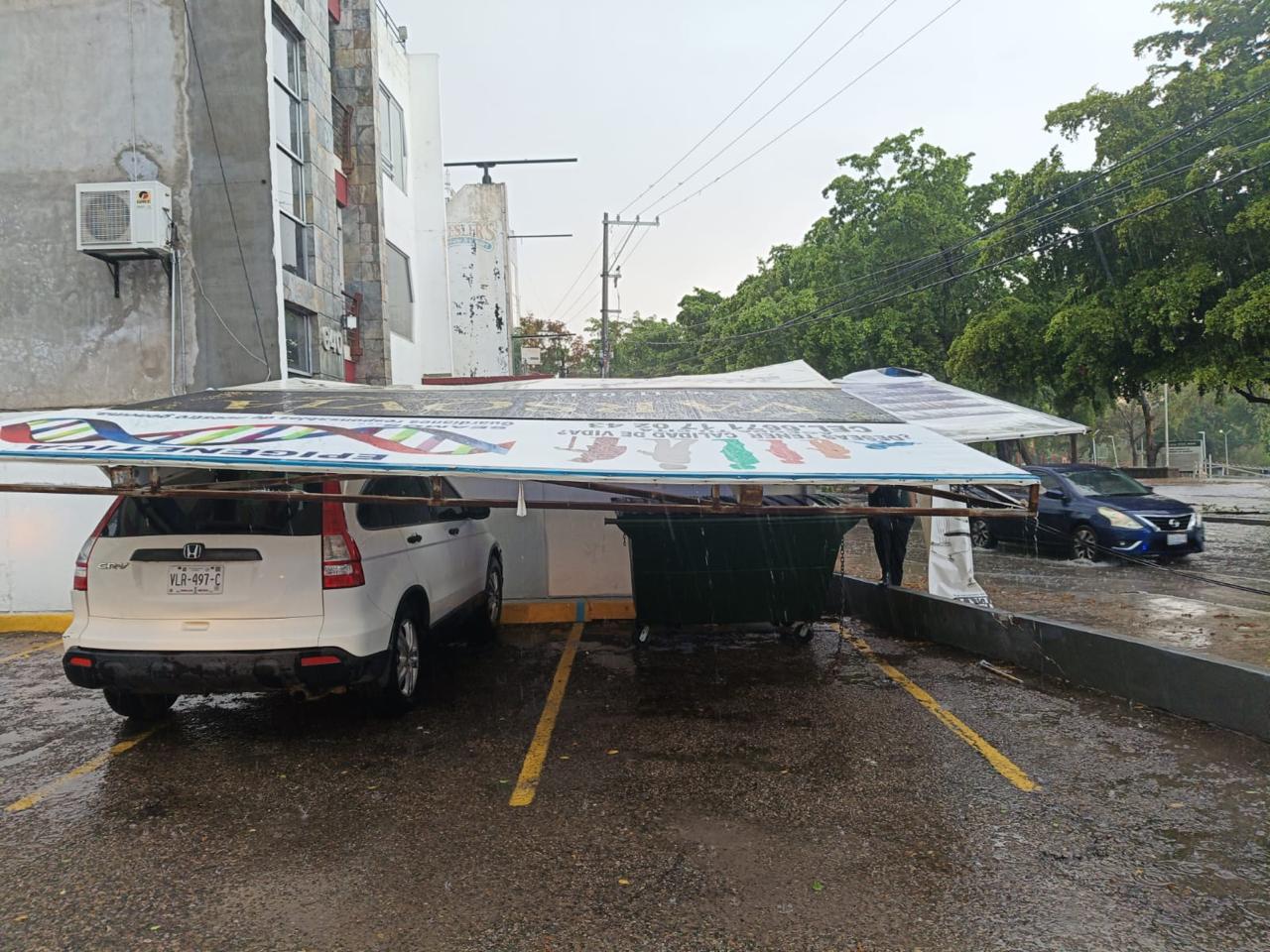 $!Deja tormenta vespertina árboles, espectaculares y postes caídos en Culiacán