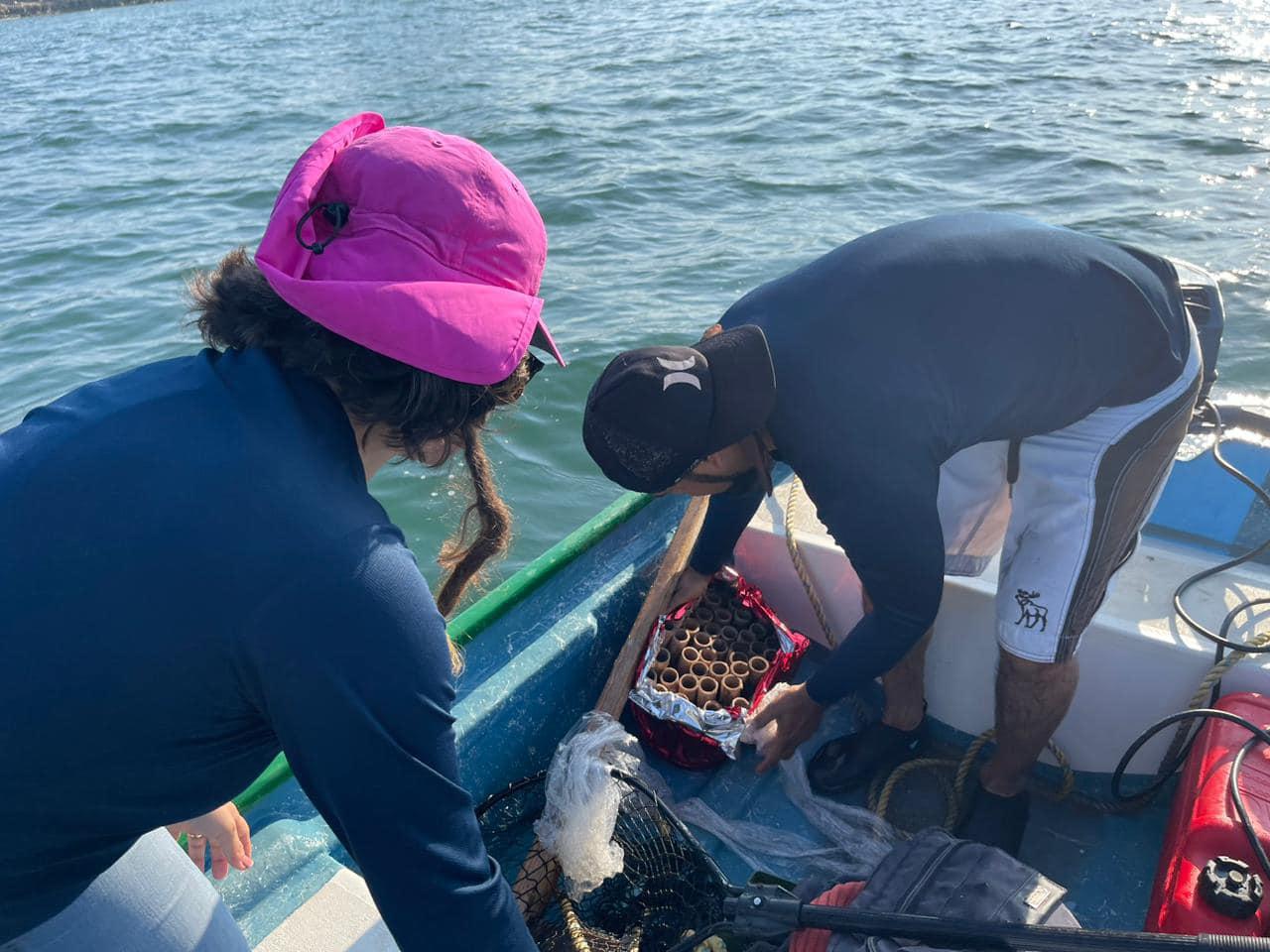 $!Limpian playa de Olas Altas tras llamado de asociación Maz ConCiencia