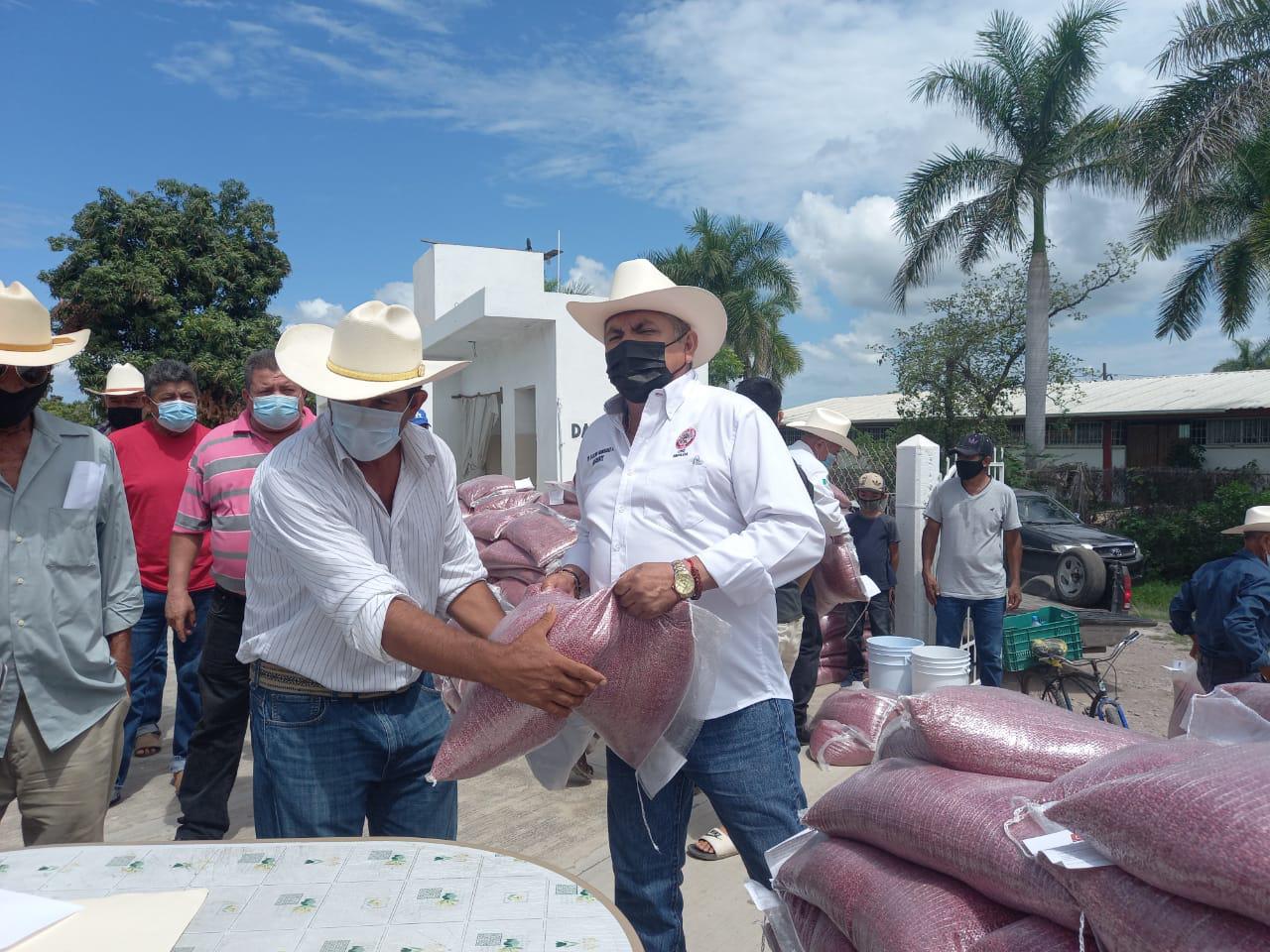 $!Productores de temporal del sur del estado reciben semillas de sorgo