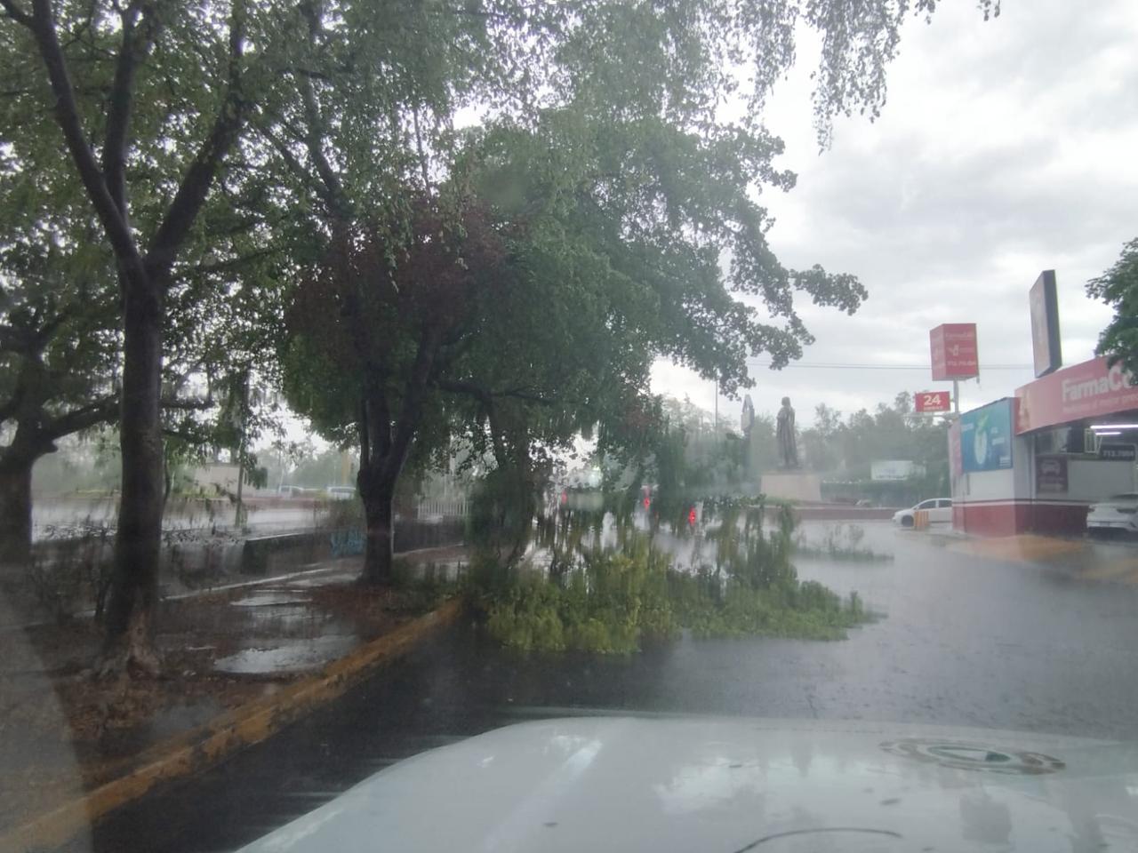 $!Deja tormenta vespertina árboles, espectaculares y postes caídos en Culiacán