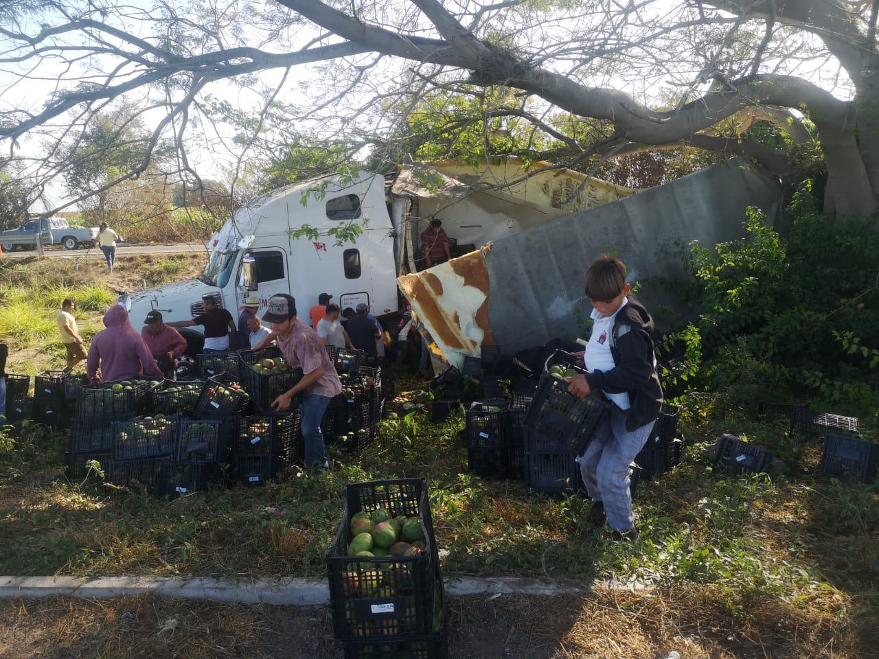 $!Se accidenta tráiler en la Maxipista; rapiñan cientos de mangos