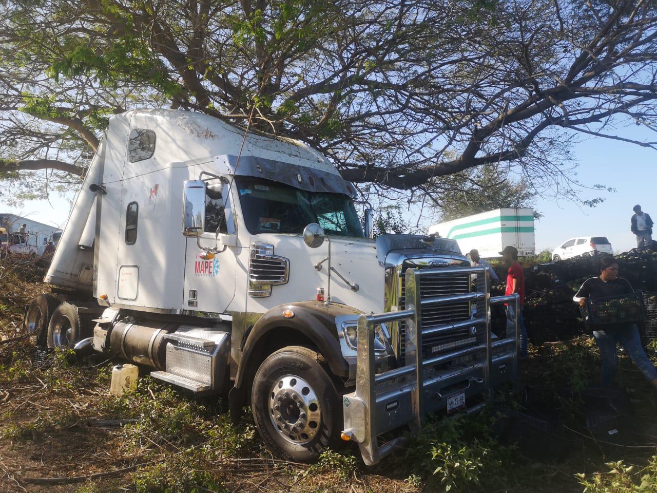 $!Se accidenta tráiler en la Maxipista; rapiñan cientos de mangos