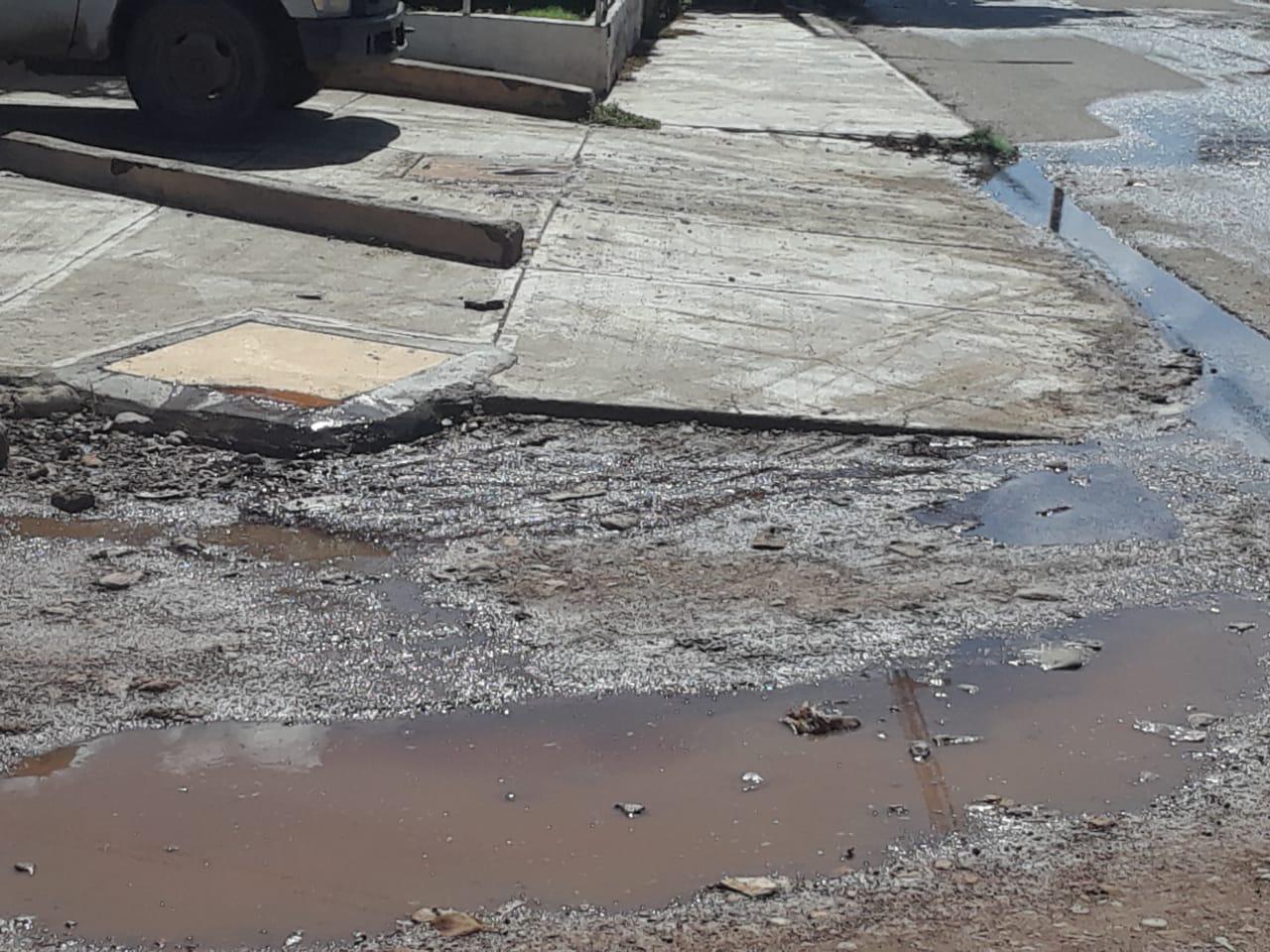 $!Vecinos del rastro de Escuinapa se quejan de mal manejo de desechos