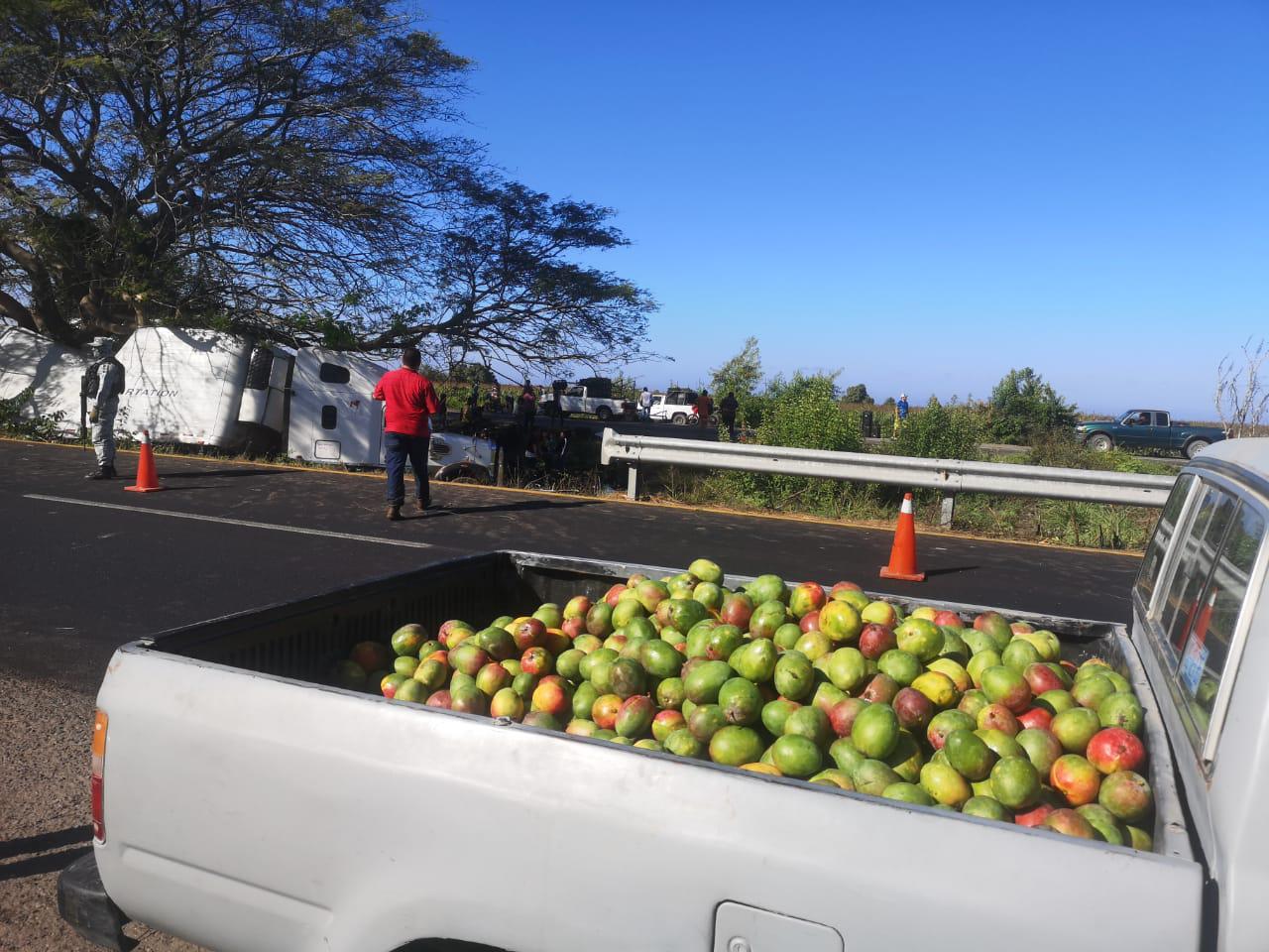 $!Se accidenta tráiler en la Maxipista; rapiñan cientos de mangos