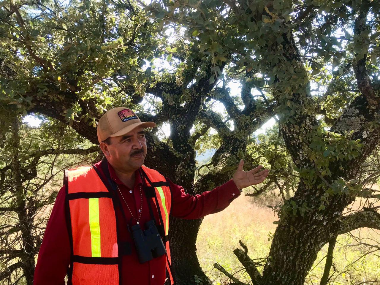 $!Sierra Madre Occidental, una opción para salir de la rutina y el calor