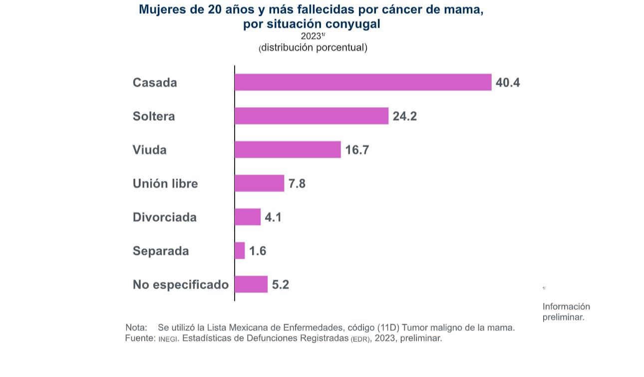 $!En 2023 hubo 8 mil 034 muertes por cáncer de mama en población de 20 años y más: Inegi