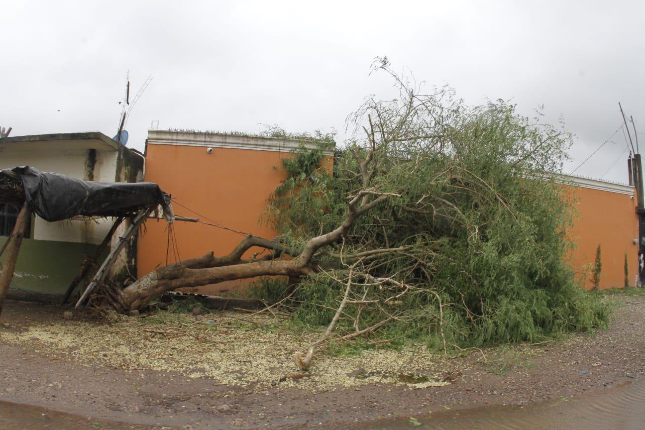 $!Paso del huracán Orlene deja daños en poblados de Rosario