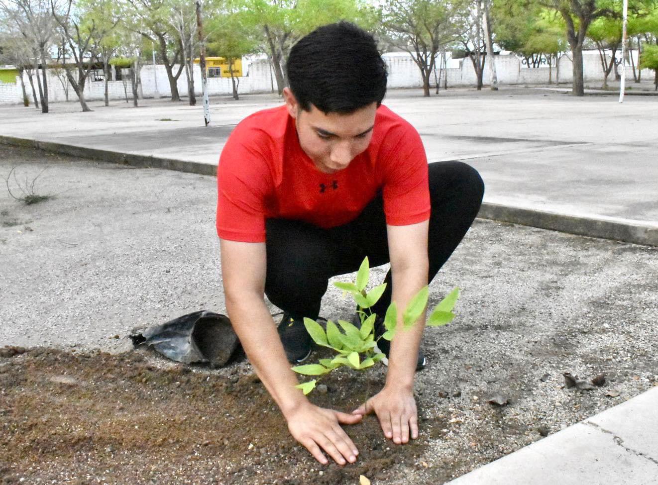 $!Se plantaron más de 50 árboles de las especies de almendro y lluvia de oro.