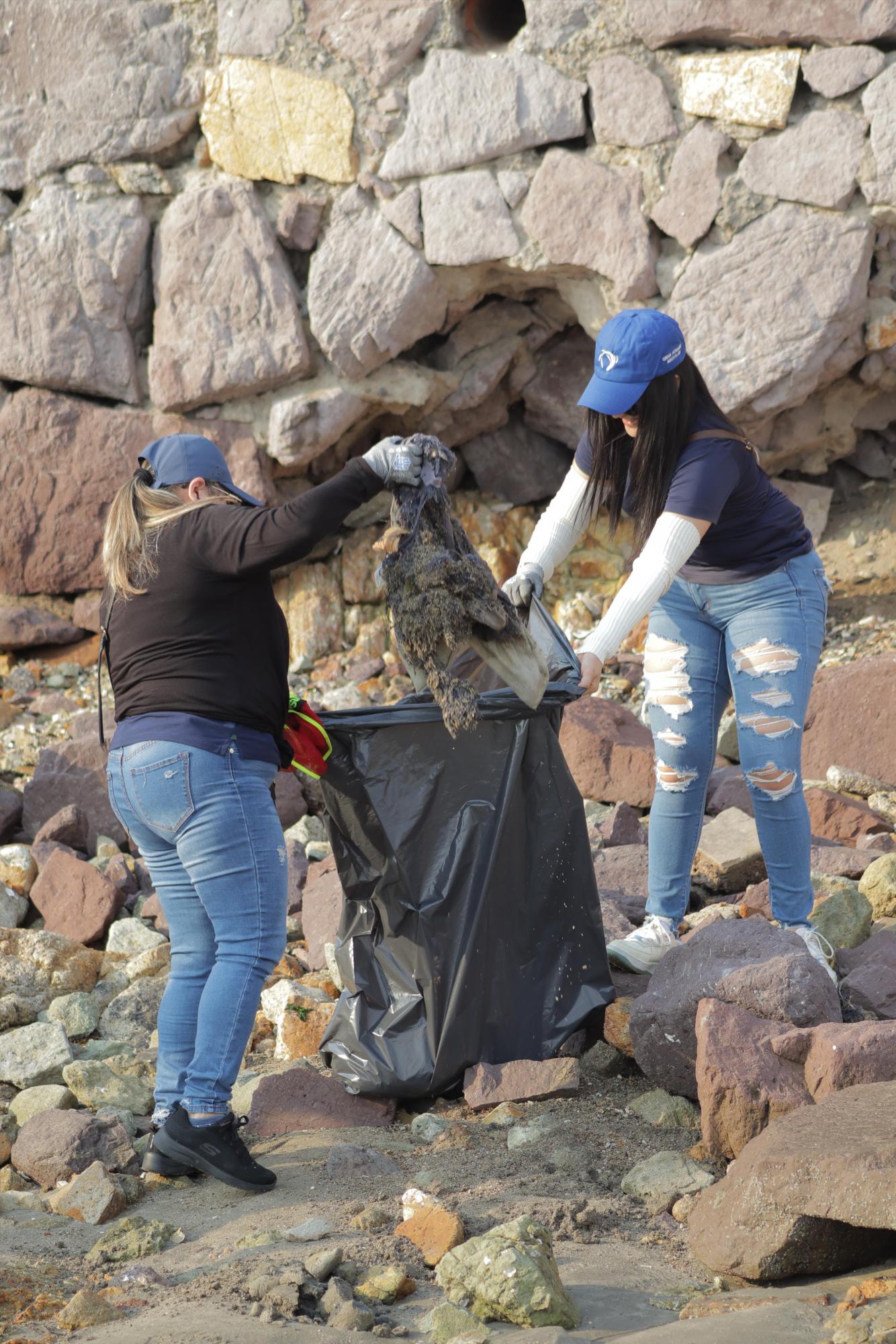 $!Limpian las playas de Mazatlán y sacan cerca de una tonelada de basura, entre ellos 200 kilos bajo el mar