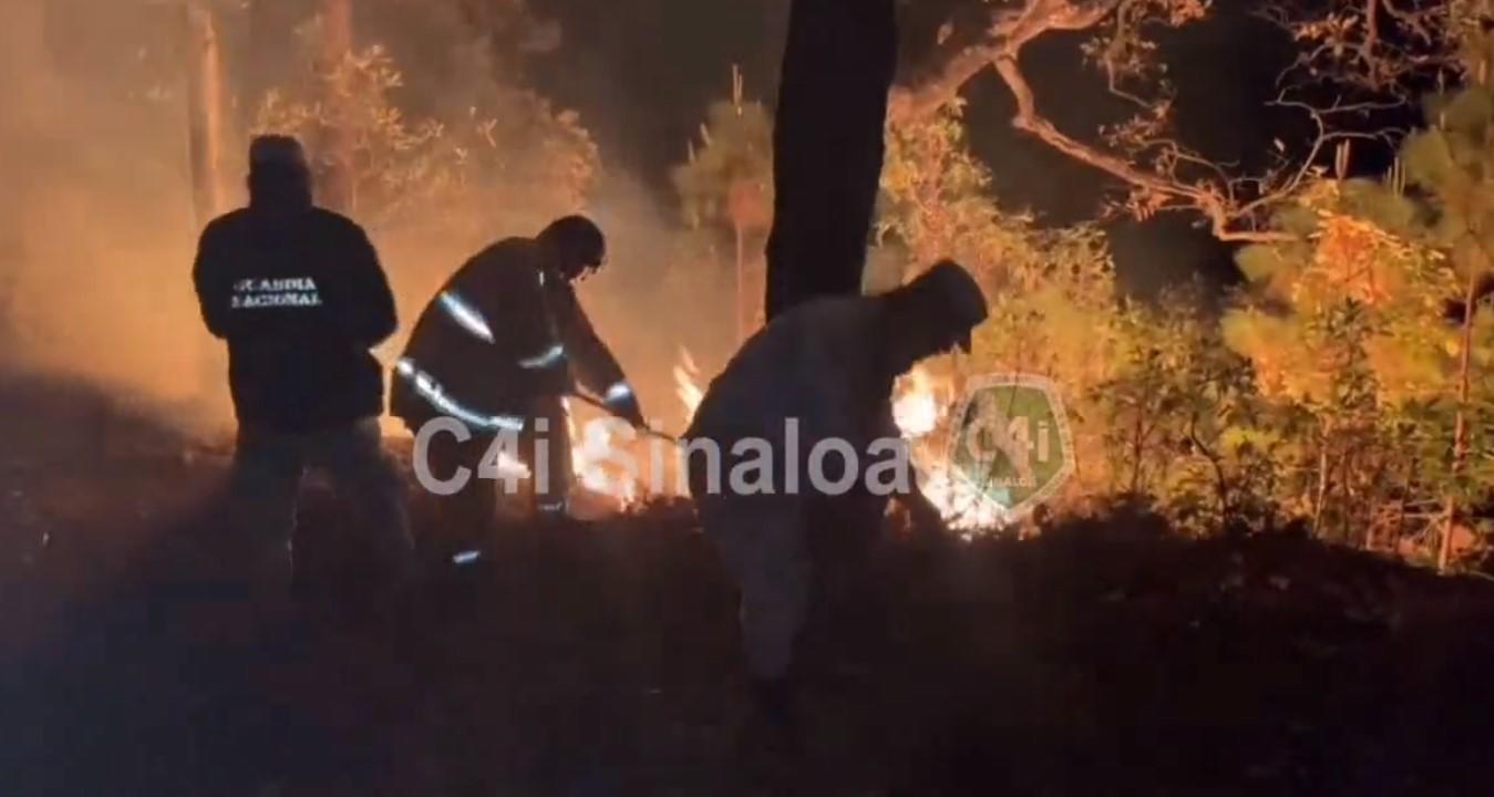 $!Incendio forestal en Concordia está controlado, pero no liquidado: Sebides