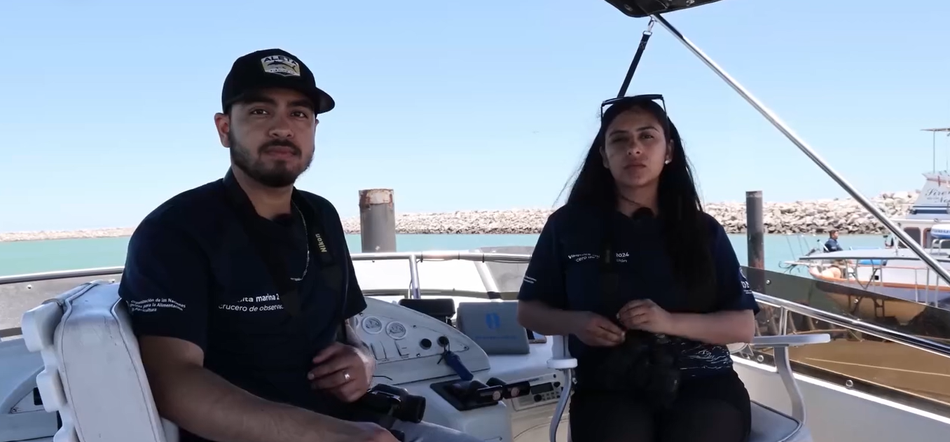 $!Jóvenes de Baja California se convierten en los nuevos observadores comunitarios de la vaquita marina