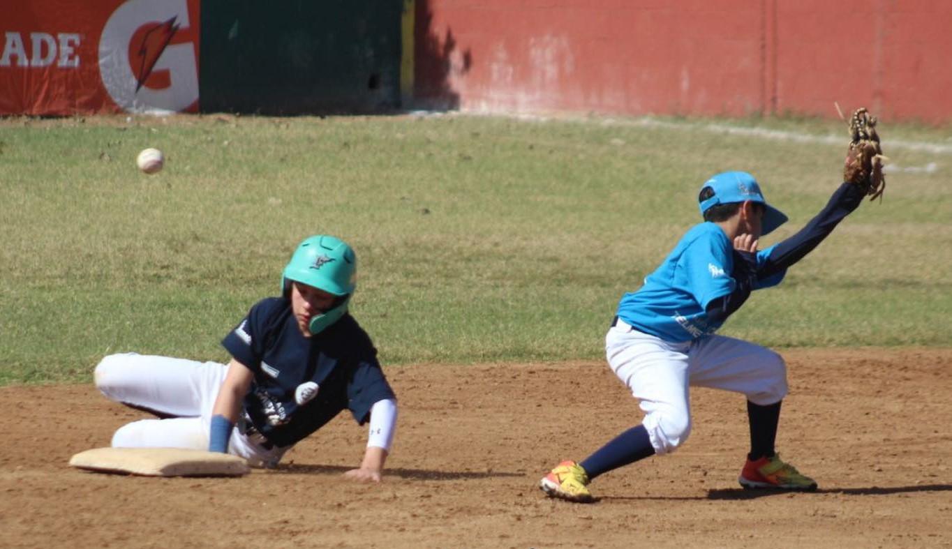 $!Culiacán es campeón invicto en la Liga Telmex de Beisbol 2024