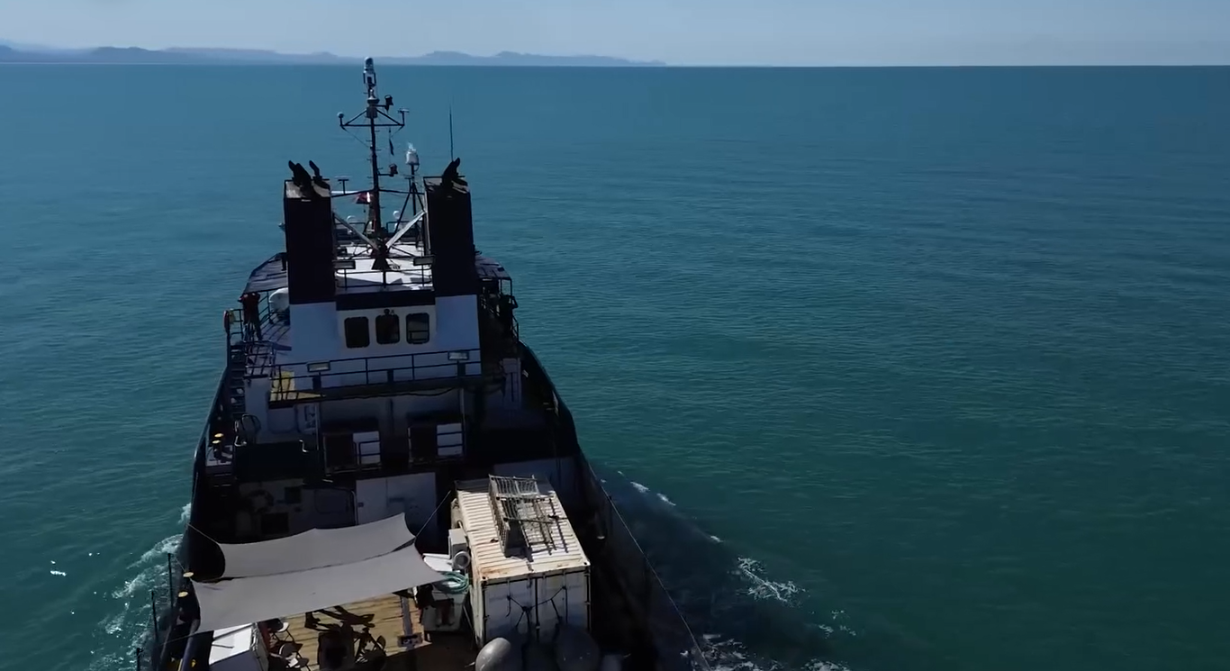 $!Jóvenes de Baja California se convierten en los nuevos observadores comunitarios de la vaquita marina