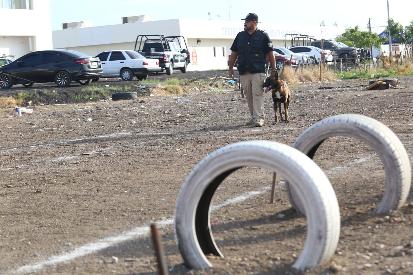 $!Toda una escuela la K9, la Unidad Canina de la SSPM de Mazatlán