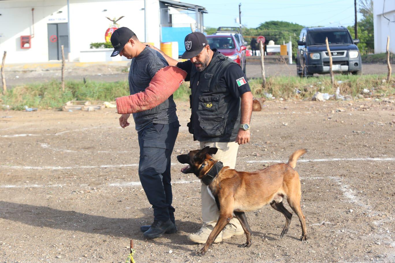 $!Toda una escuela la K9, la Unidad Canina de la SSPM de Mazatlán