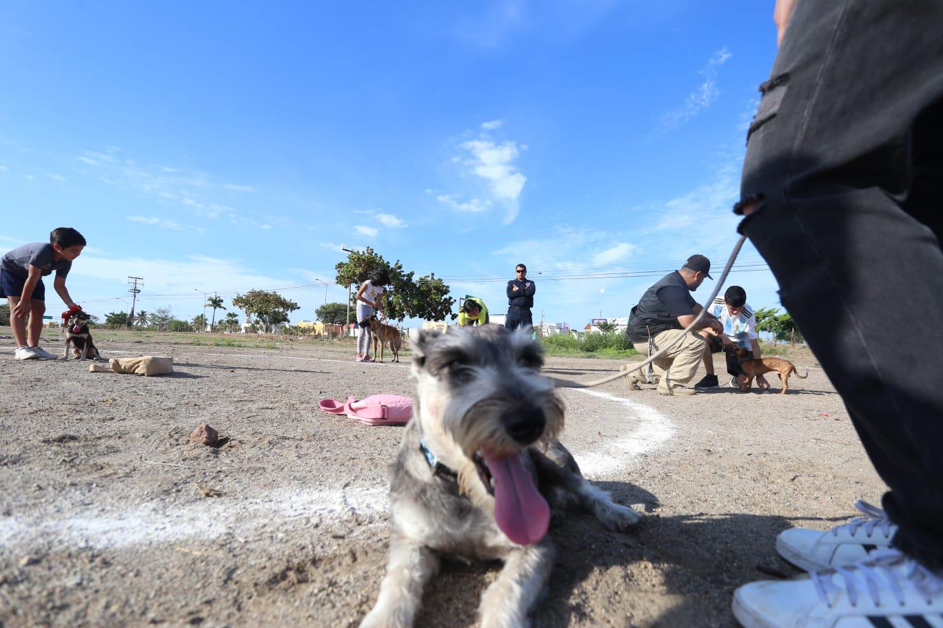 $!Toda una escuela la K9, la Unidad Canina de la SSPM de Mazatlán