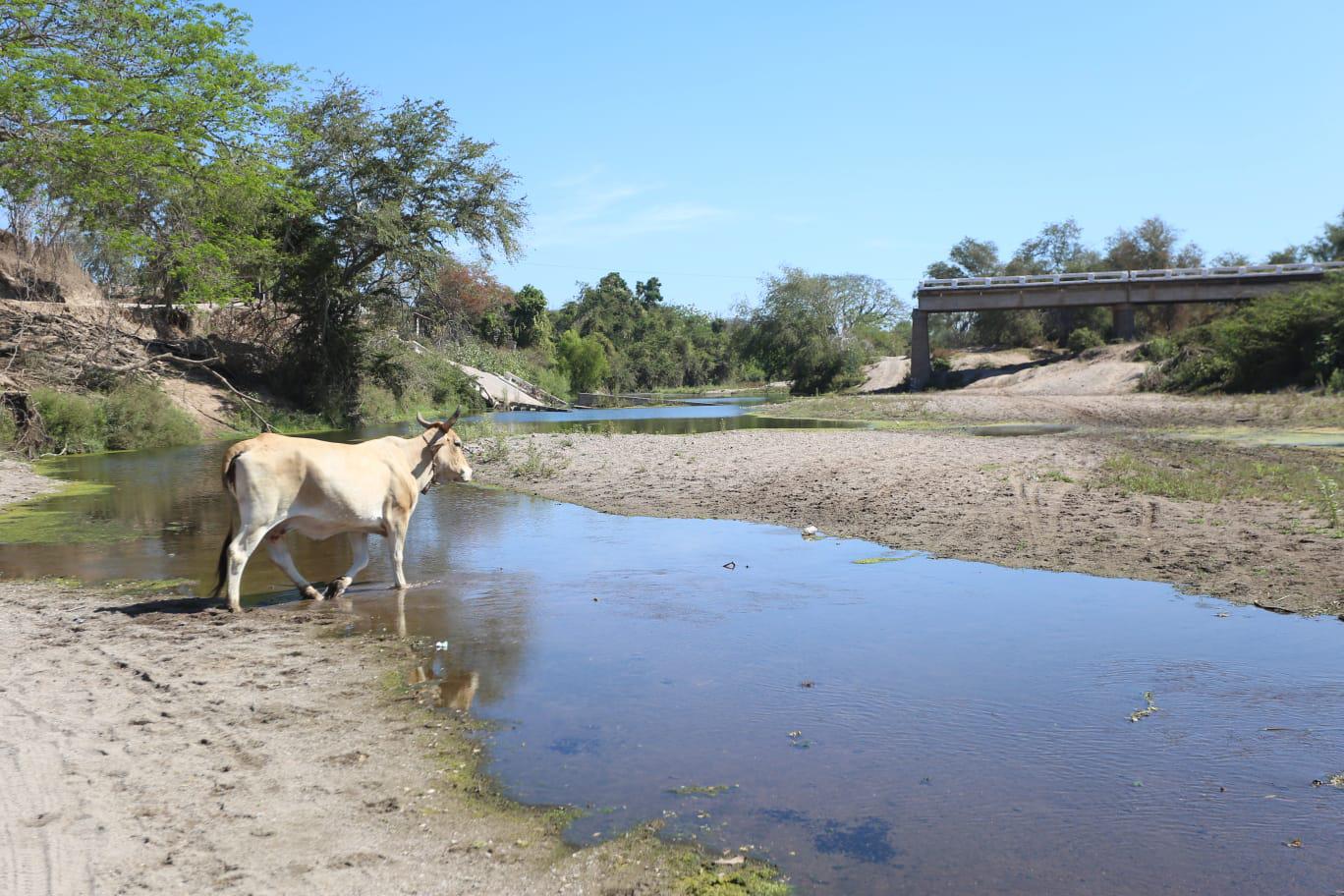 $!Urgen en El Quelite iniciar construcción del puente