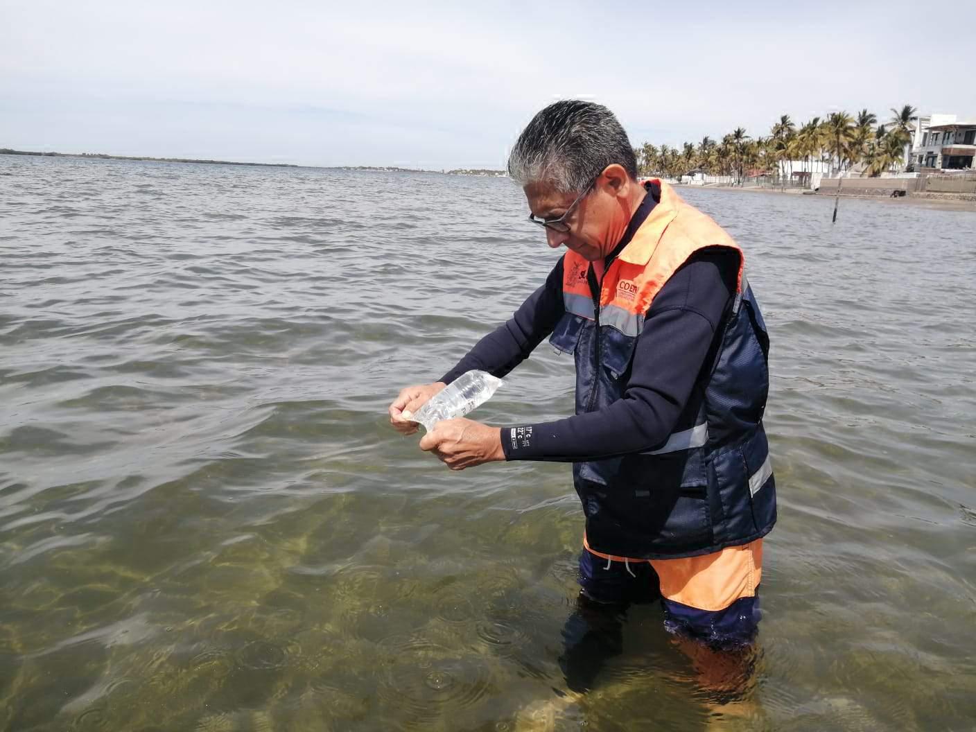 $!Exhorta Coepriss no ingresar a la playa de Olas Altas por el alto nivel de contaminación