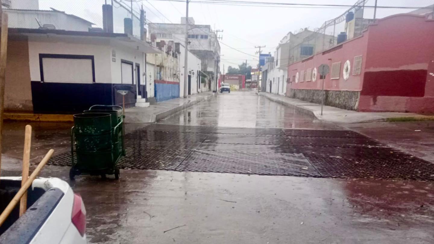 $!Levantan árboles caídos y realizan trabajos de limpieza tras lluvias en Mazatlán