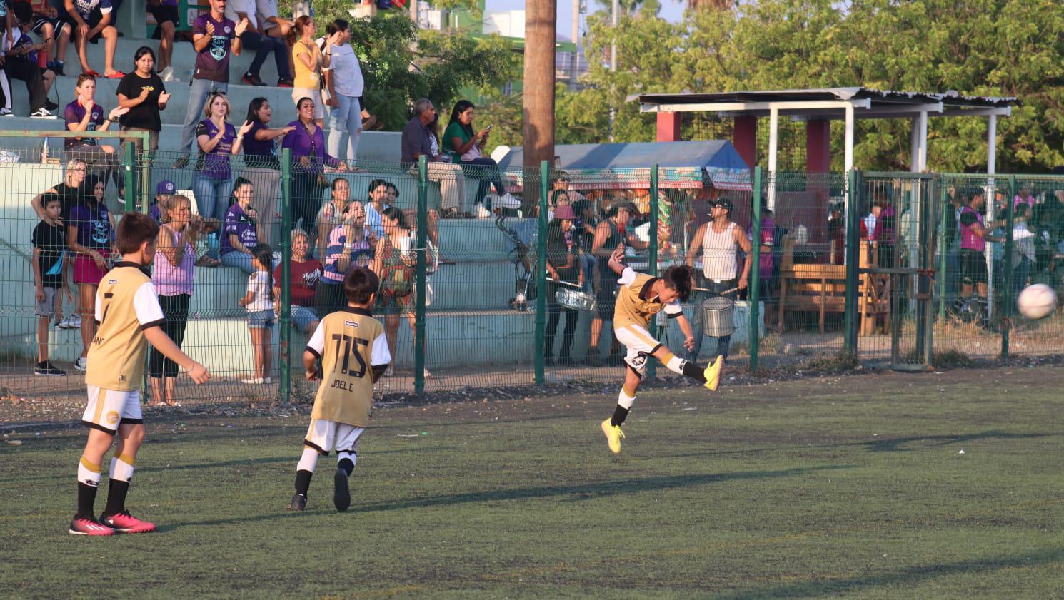 $!¡Brilla Dorados como campeón de la categoría Osos 2013!