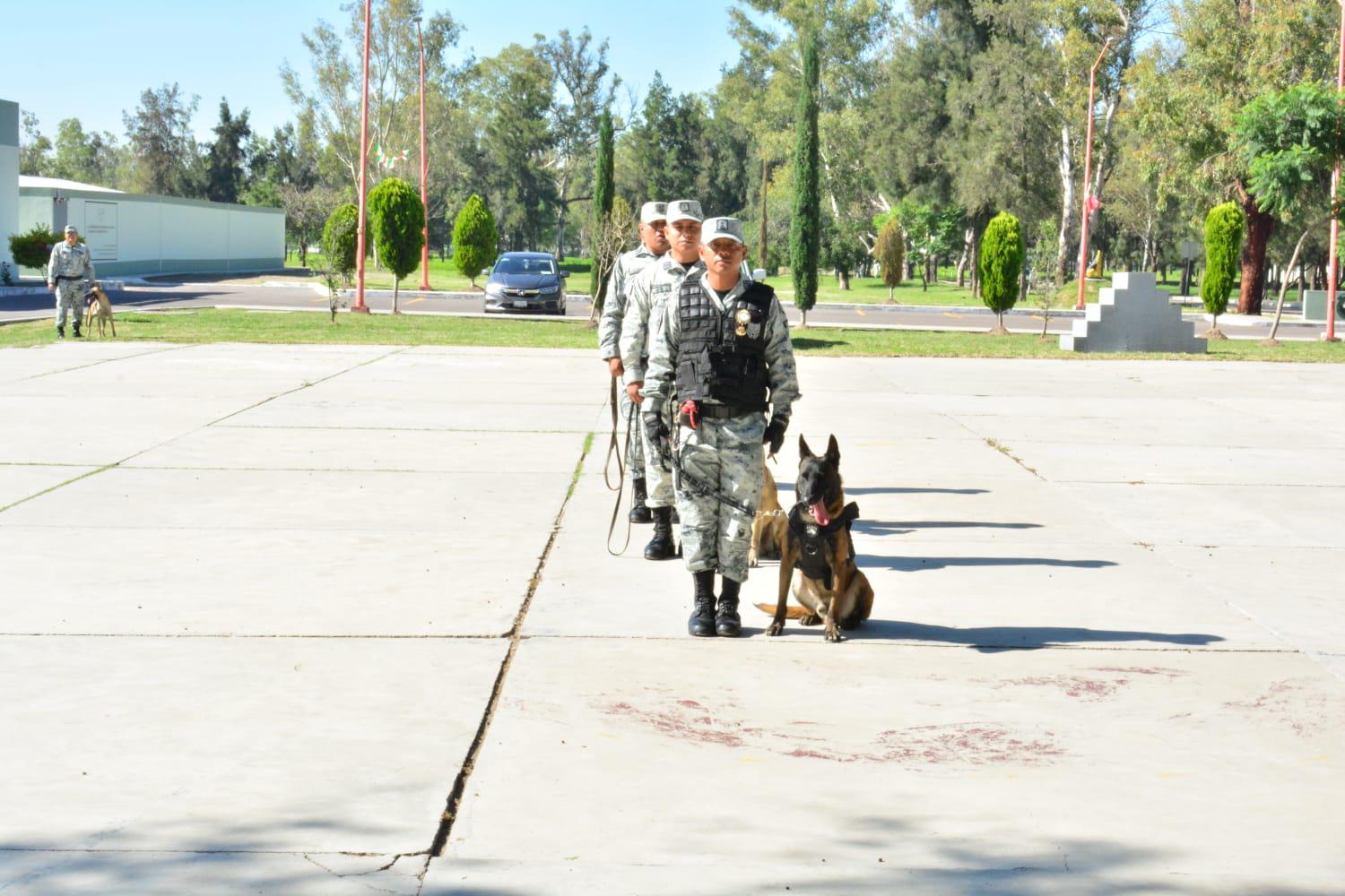 $!Reconocen a elementos de la unidad canina de la Guardia Nacional en su día