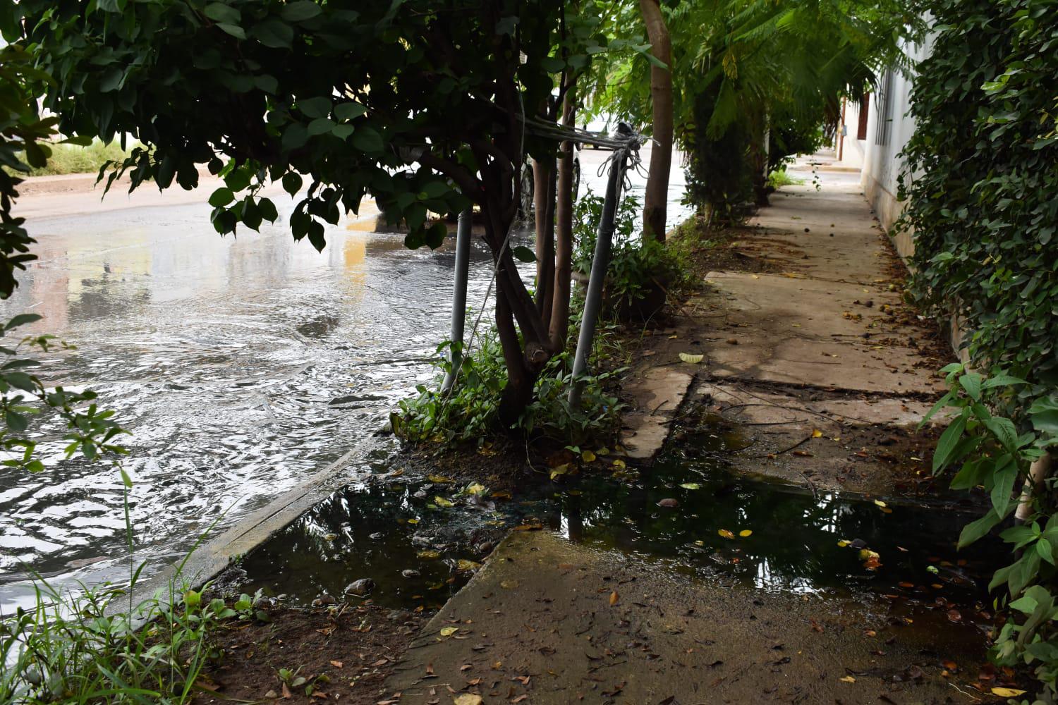 $!Viven en Villas del Estero en medio de fuga de aguas negras