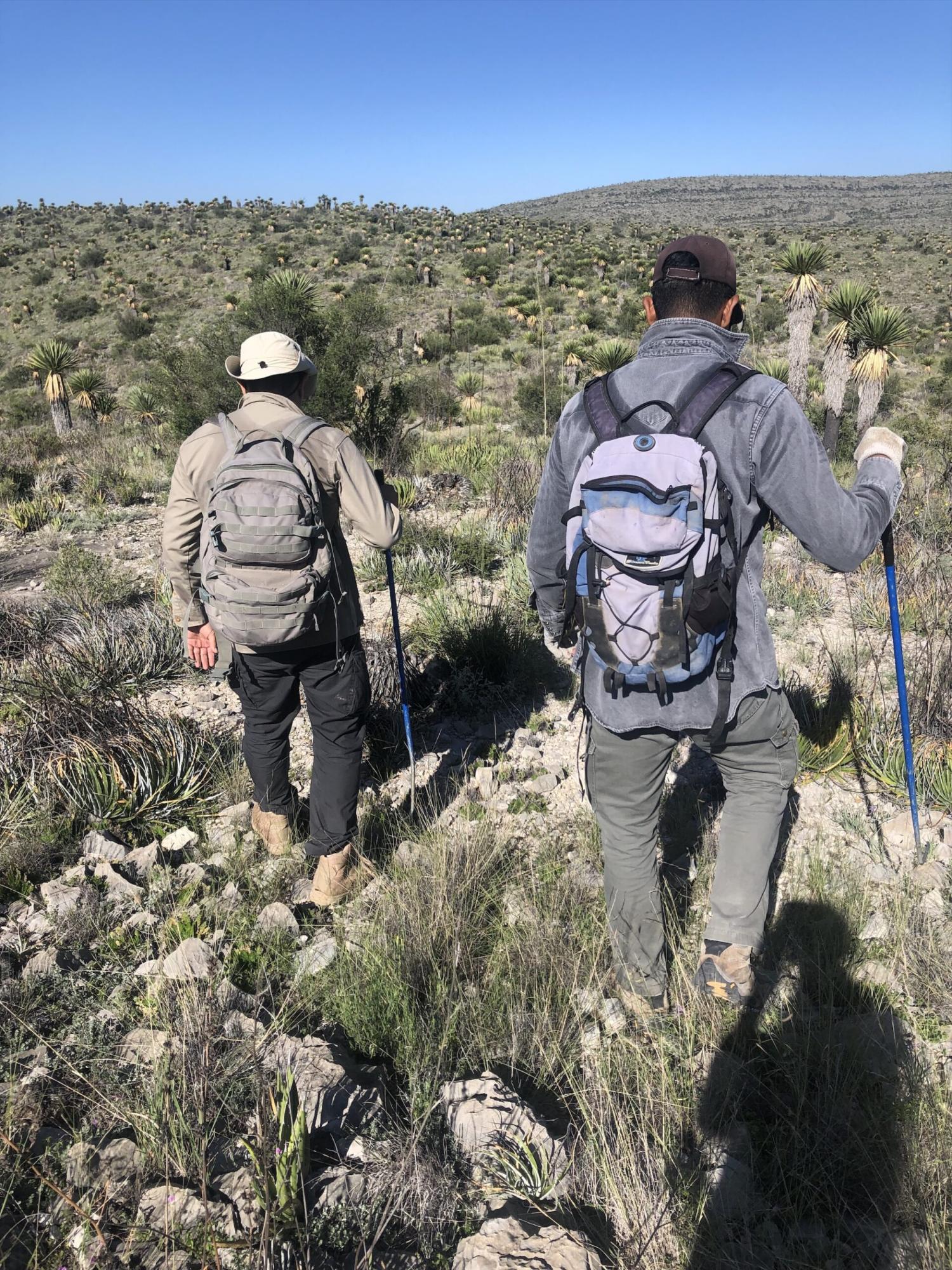 $!Juan Miguel Borja y Bruno Rodríguez (estudiante de doctorado) en trabajo de campo en Ocampo, Coahuila.