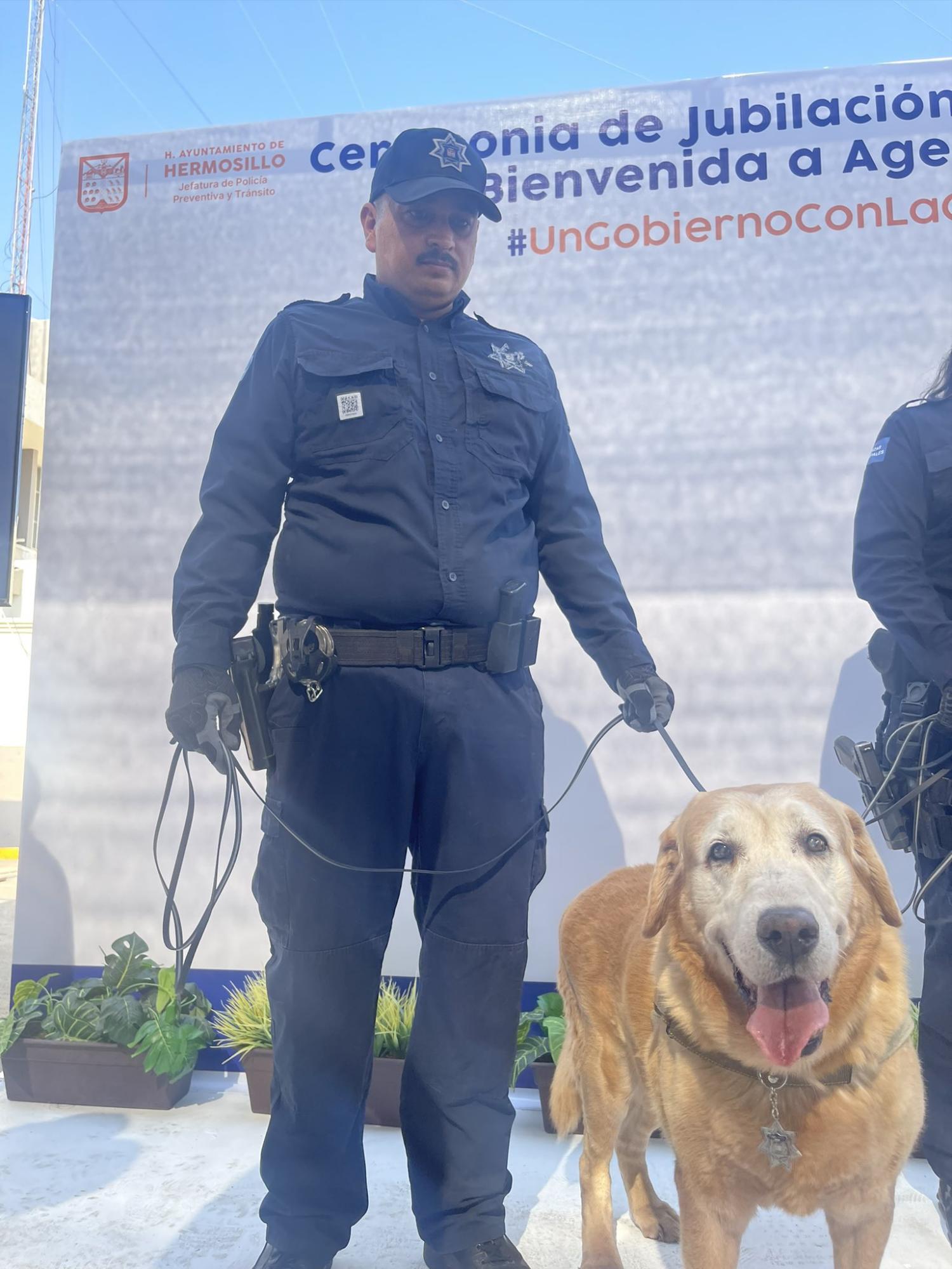 $!Se jubila ‘Bubu’ tras 9 años de servicio en la unidad K9 y recibe emotivo mensaje