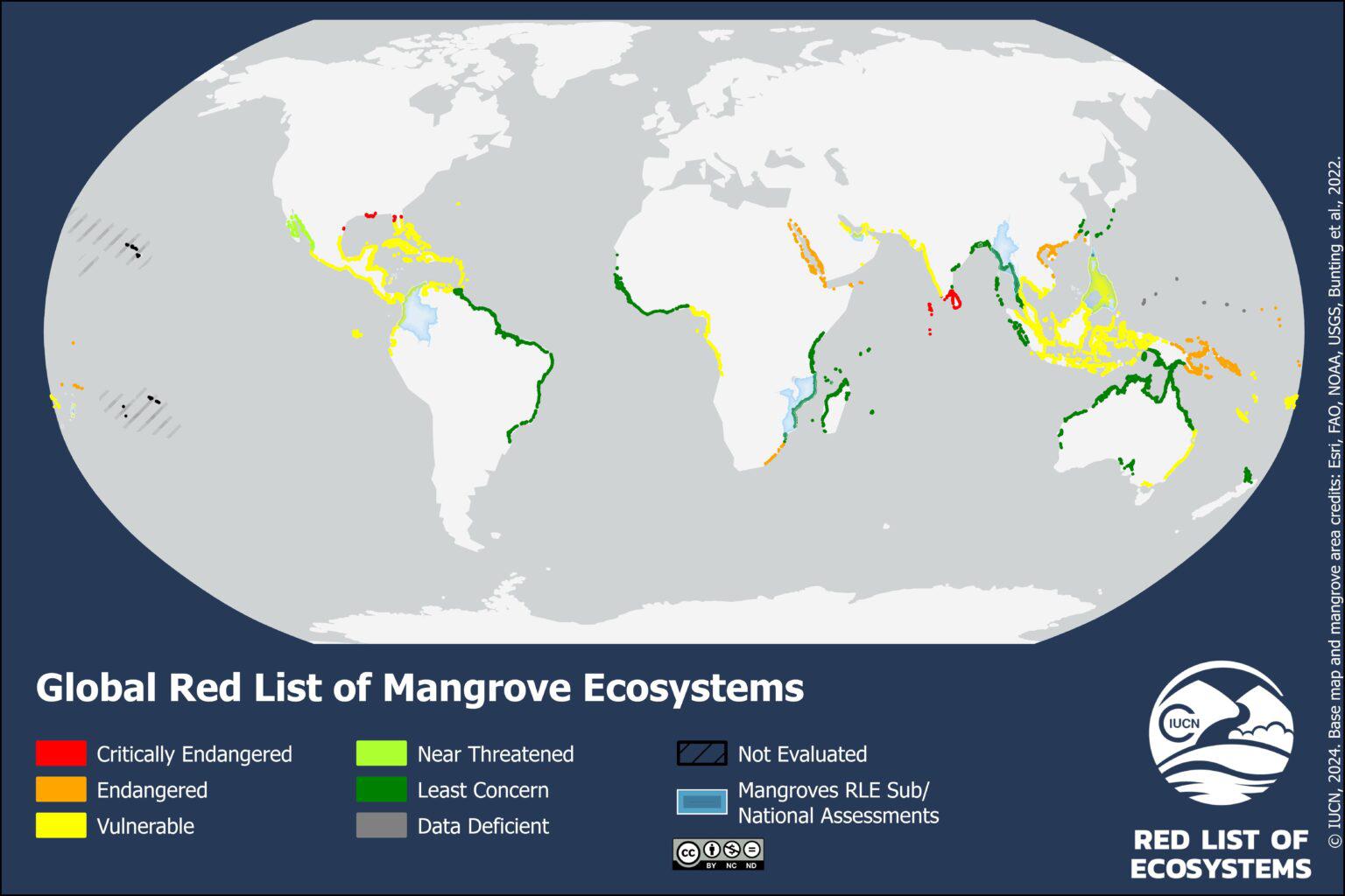 $!Lista Roja Global de los Ecosistemas de Manglar.