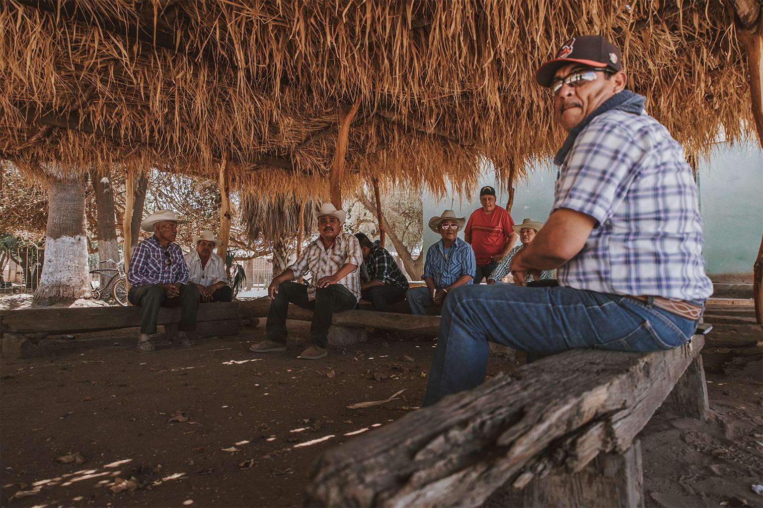 $!Una choza ceremonial tradicional yaqui en Vícam hecha de mezquite (Prosopis), álamo (Ficus cotinifola) y caña común (Arundo donax), árboles amenazados por la falta de agua en la región.