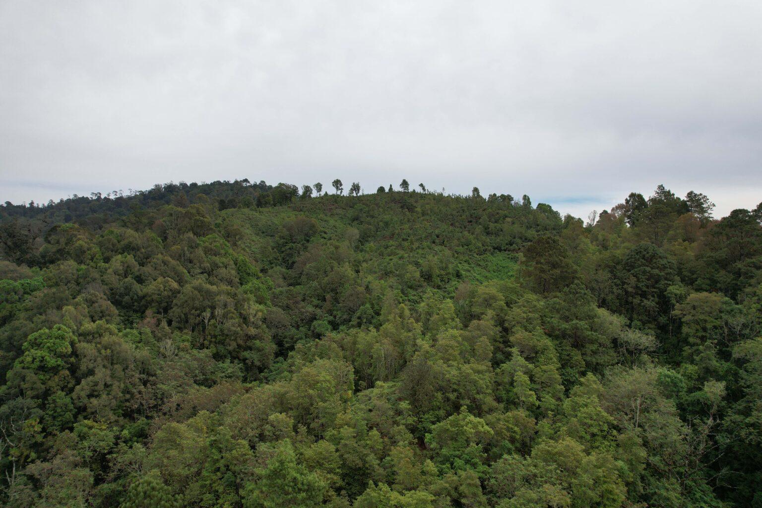 $!La nueva Reserva de la Biosfera Sierra Tecuani de 348.140 hectáreas (860.272 acres) en el estado mexicano de Guerrero.