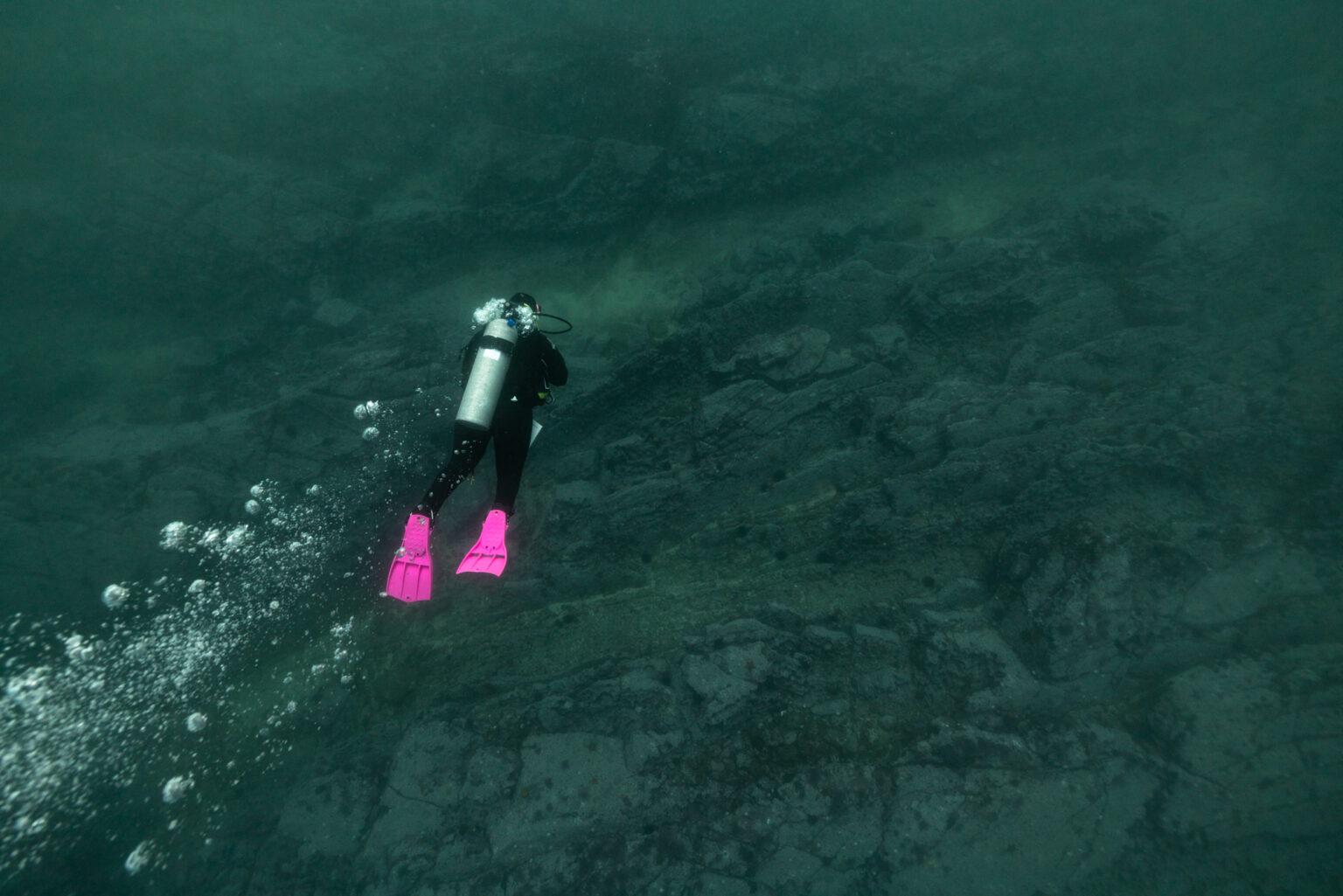 $!Las Sirenas de Natividad monitorean los recursos pesqueros, principalmente de invertebrados marinos.