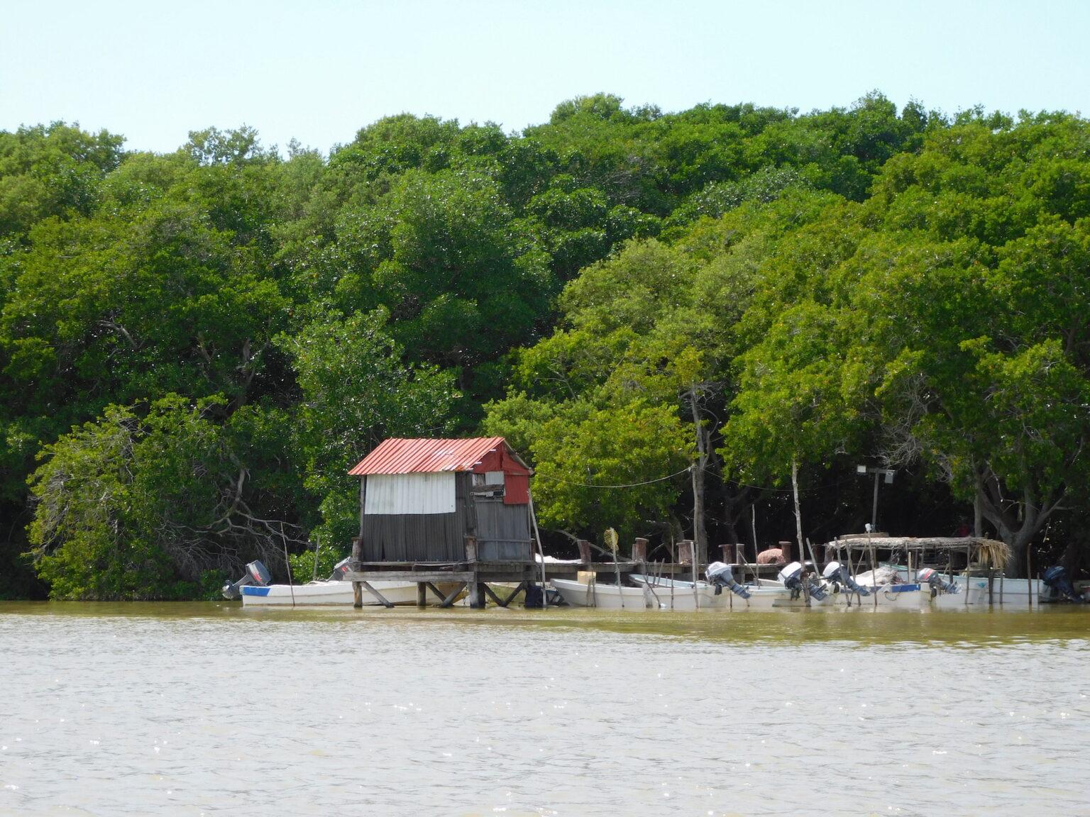 $!Comunidad de Isla Arena. Se pueden apreciar las lanchas que la comunidad usa para sus actividades de pesca y turismo.