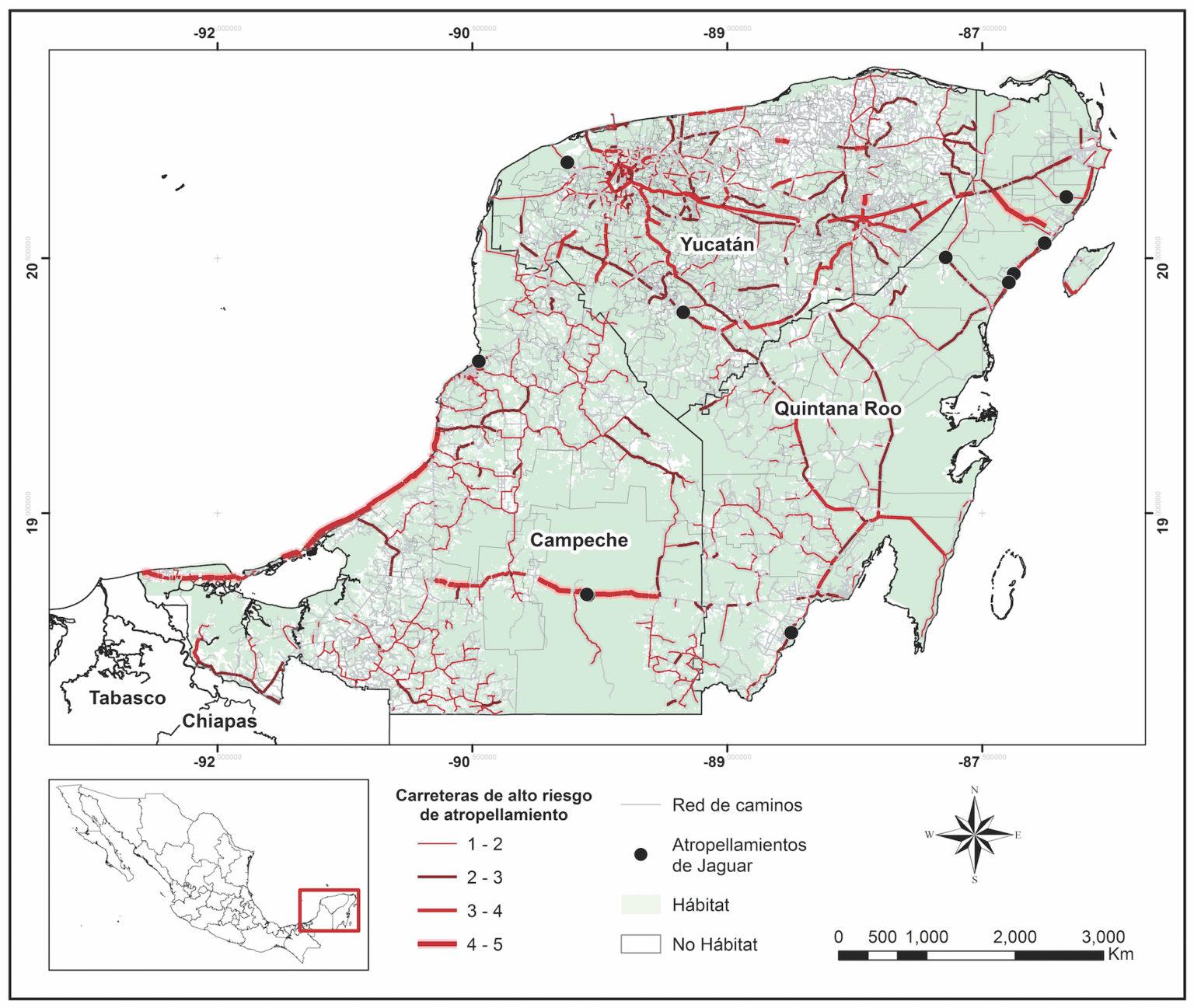 $!Carreteras de entre 6 y 10 metros de ancho, y entre 60 y 100 kilómetros por hora, catalogadas como de alto riesgo por atropellamientos de jaguar y registros de atropellamientos de jaguar.