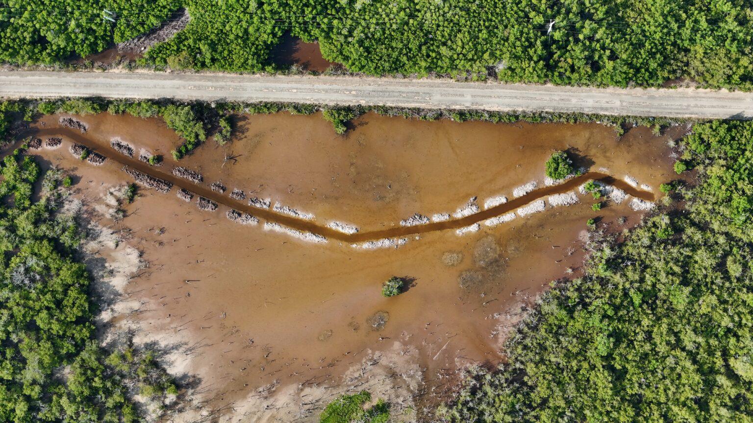 $!Vista área del canal primario realizado para acciones de restauración hidrológica. Fotografía tomada el 16 de enero del 2024.