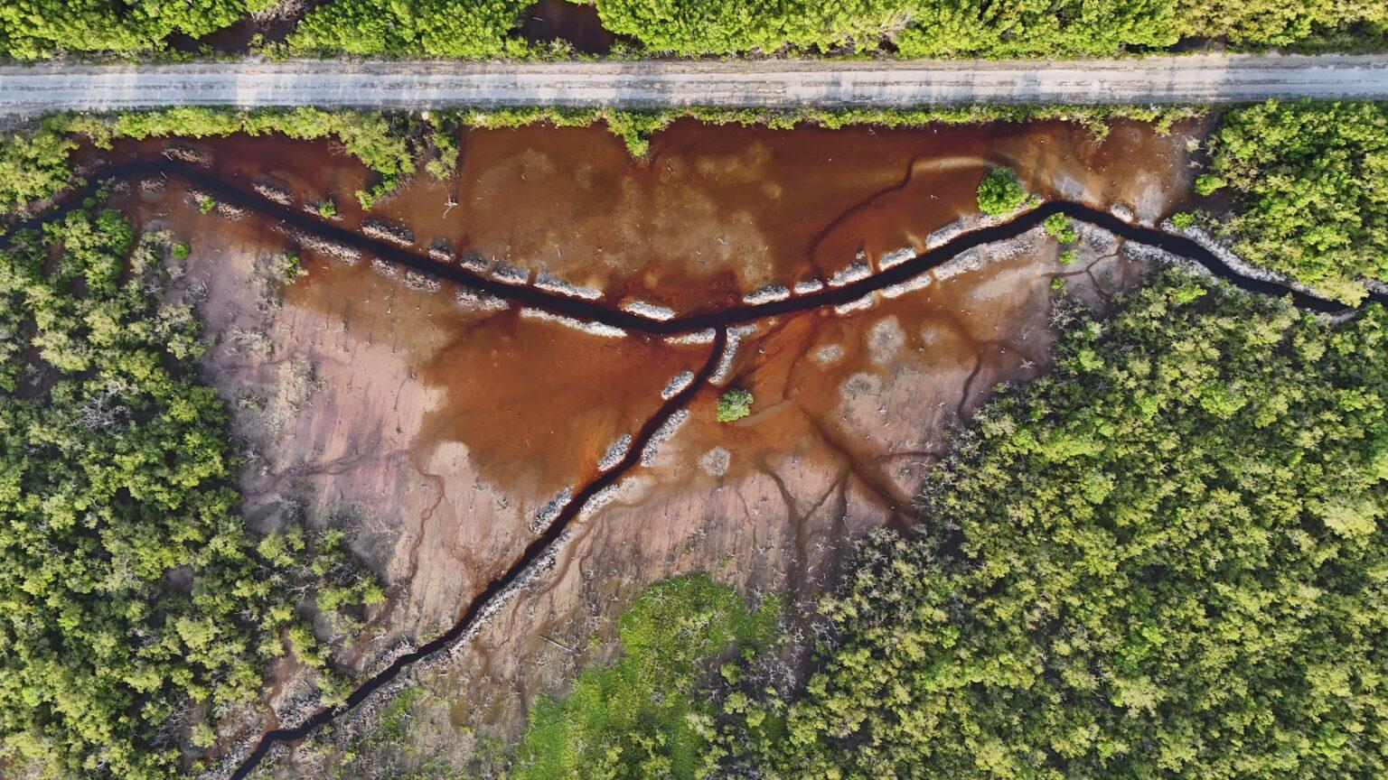 $!Vista área del canal primario realizado para acciones de restauración hidrológica. Fotografía tomada el 10 de julio del 2024.