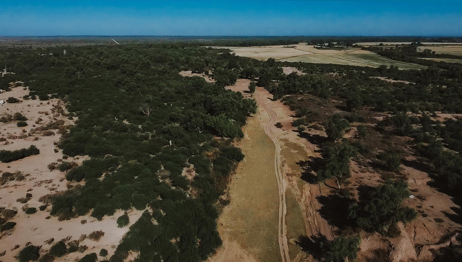 $!El río Yaqui, que ahora se ha secado, anteriormente corría desde la Sierra Madre Occidental a lo largo de 320 kilómetros, a través del valle del Yaqui hasta el golfo de California.