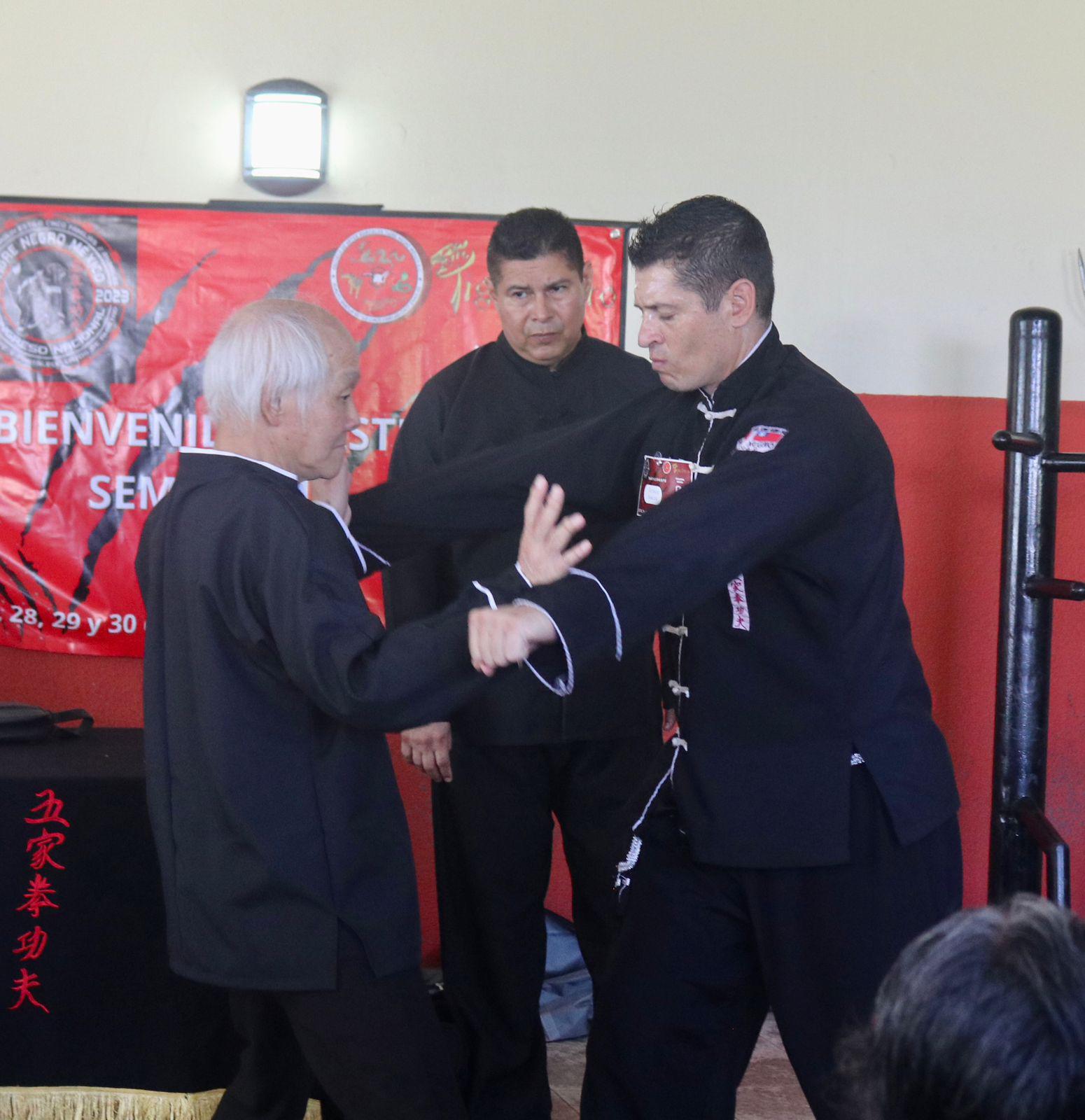 $!Mazatlán es sede del 25 Congreso Nacional de Kung Fu Tigre Negro