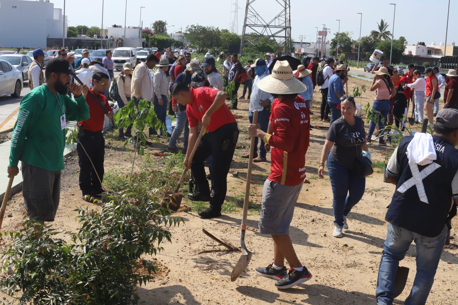 $!Realizan Jornada de arborización masiva en la Avenida Delfín, en Mazatlán