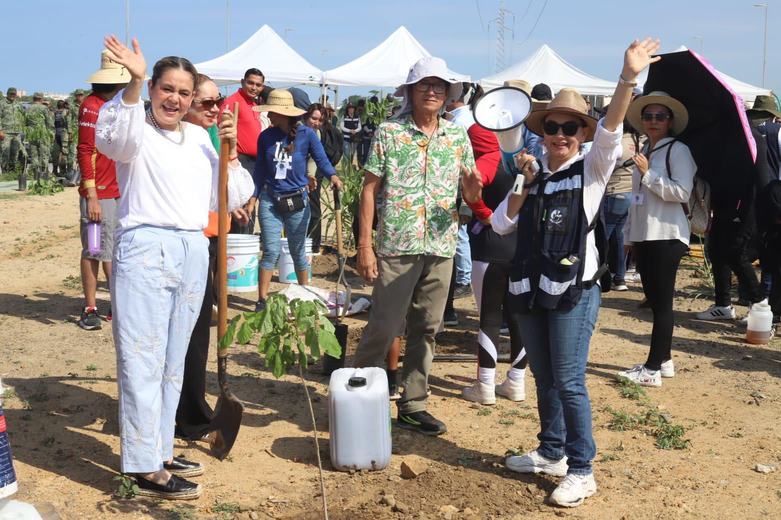 $!Realizan Jornada de arborización masiva en la Avenida Delfín, en Mazatlán