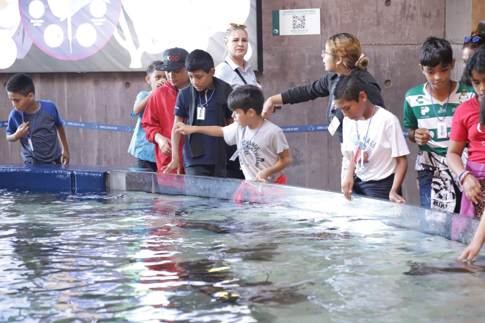 $!Disfrutan de la posada ‘Navidad de los Niños’, organizada por Club Rotario Mazatlán