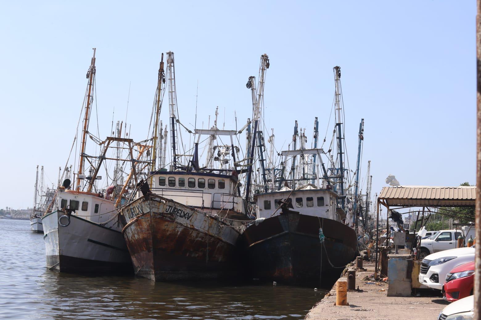 $!Confían pescadores de Mazatlán que capturas de camarón mejoren