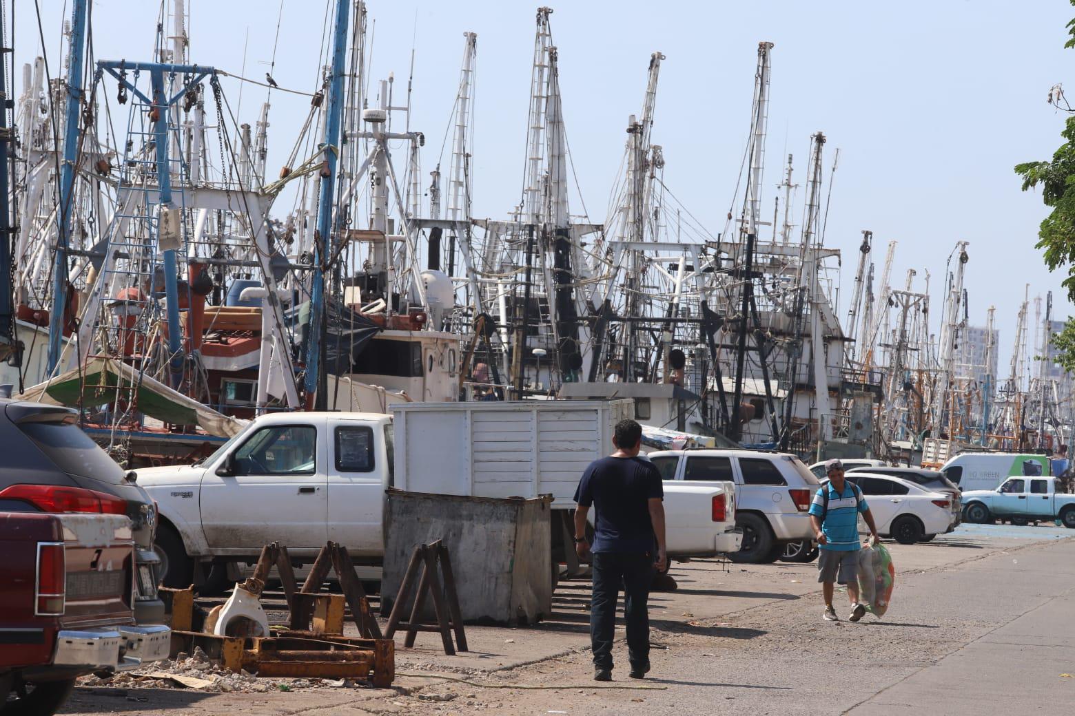 $!Confían pescadores de Mazatlán que capturas de camarón mejoren