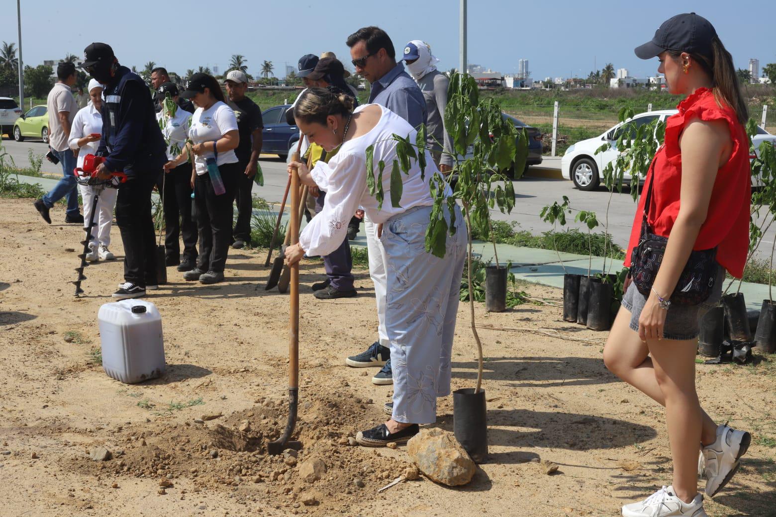 $!Realizan Jornada de arborización masiva en la Avenida Delfín, en Mazatlán