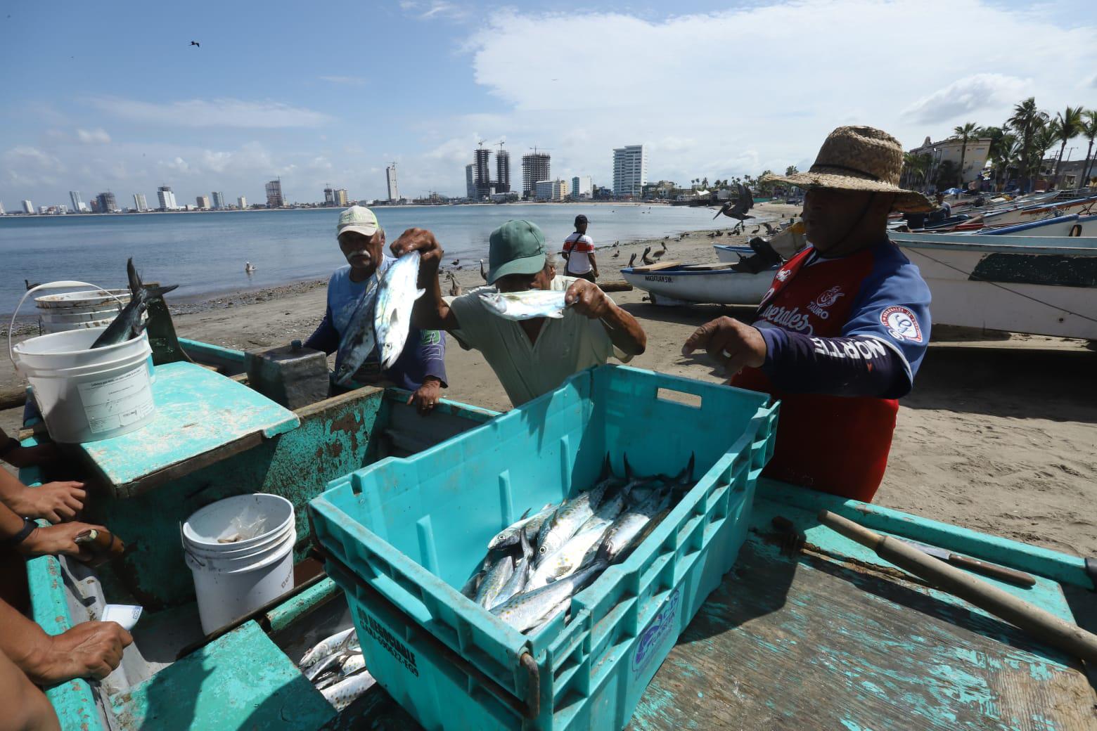 $!Reportan vendedores de pescados en Mazatlán las ventas más bajas en años