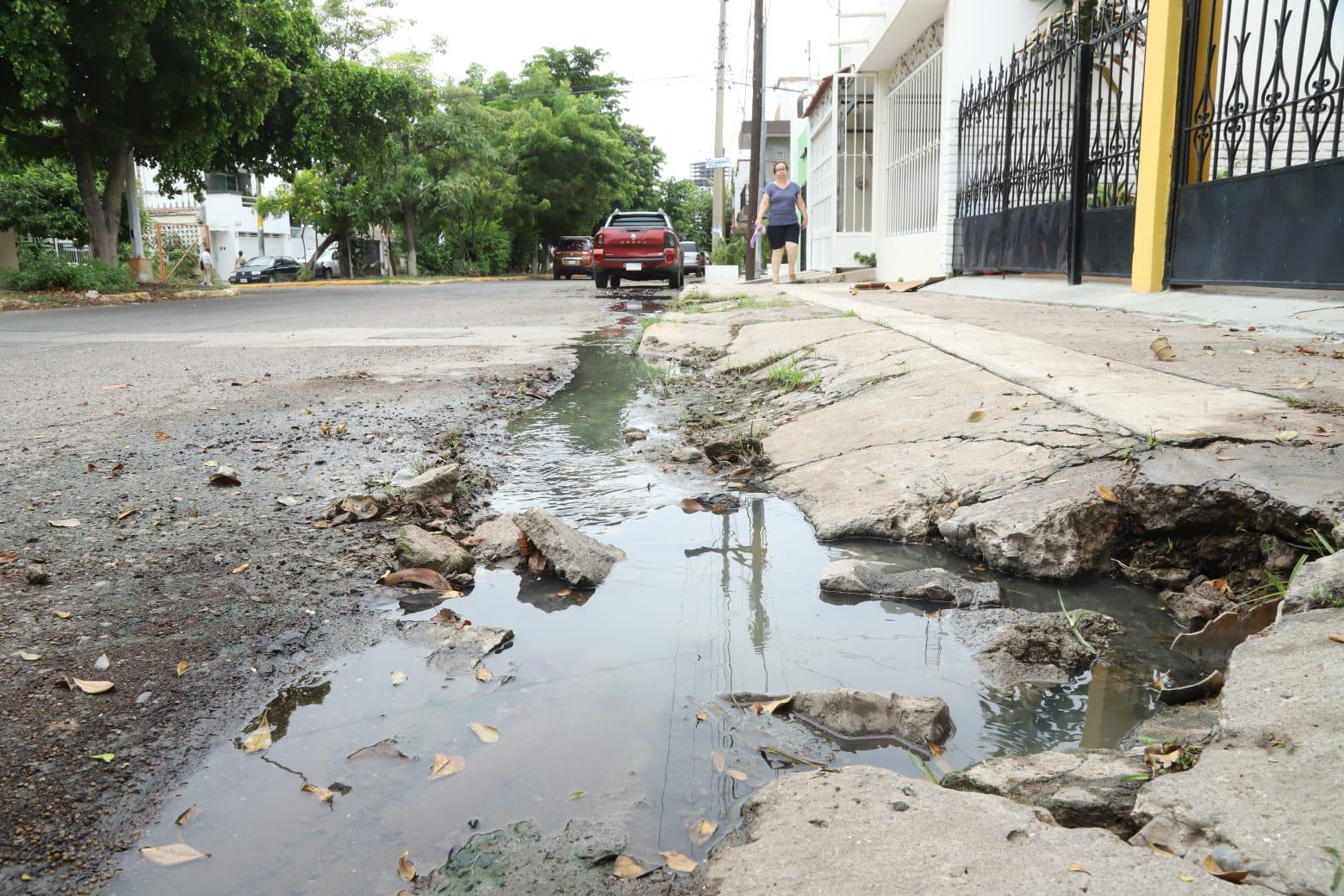 $!Denuncian vecinos falta de solución a suciedad, mal olor y zancudos por fuga en fraccionamiento Estadio