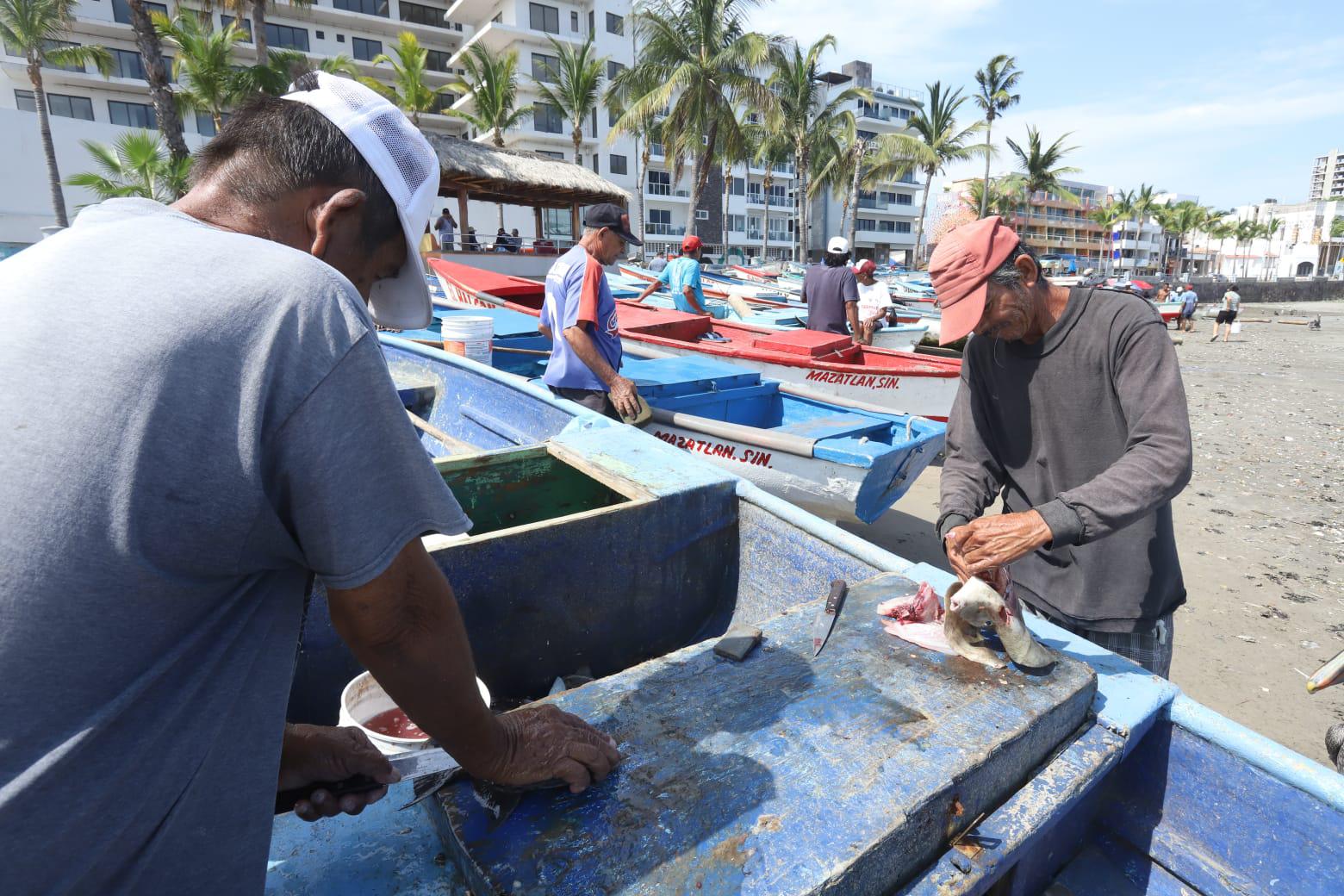 $!Reportan vendedores de pescados en Mazatlán las ventas más bajas en años