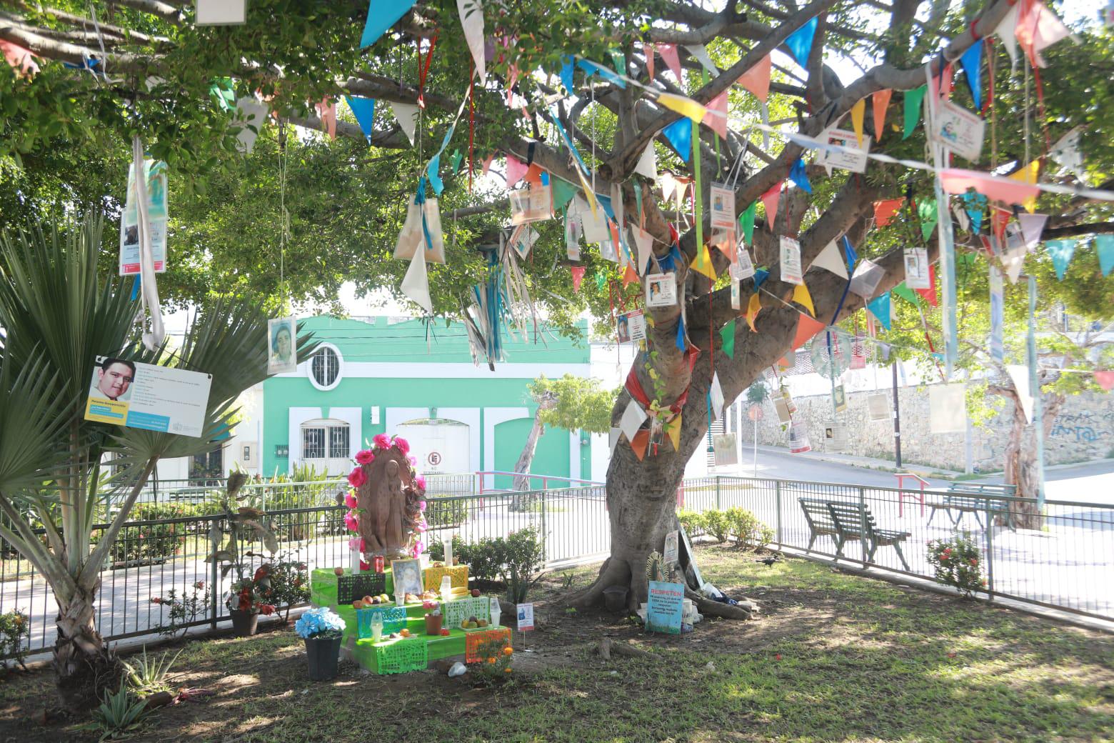 $!Madres rastreadoras de Mazatlán colocan ofrenda a hijos desaparecidos