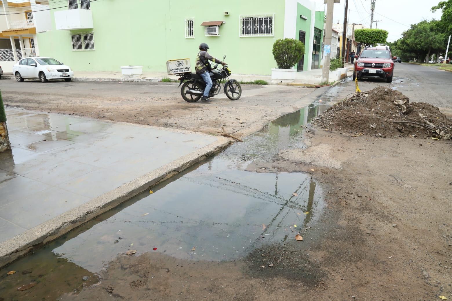 $!Denuncian vecinos falta de solución a suciedad, mal olor y zancudos por fuga en fraccionamiento Estadio