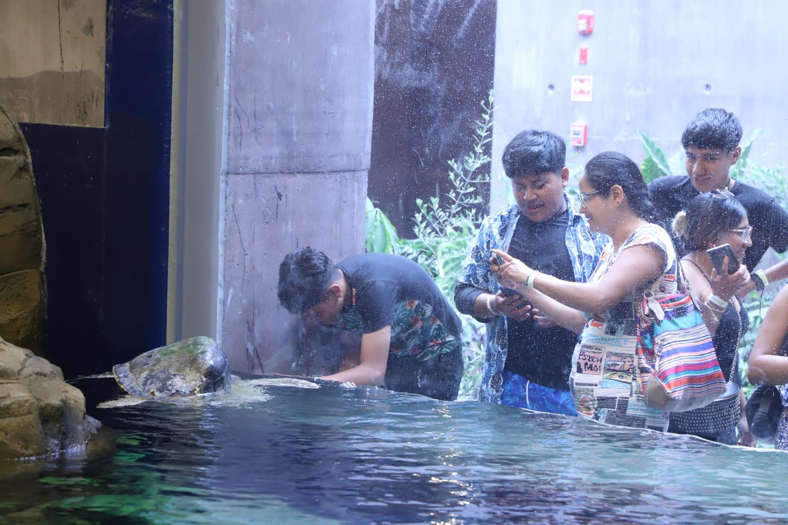 $!Esto cuesta entrar al Nuevo Acuario Mazatlán